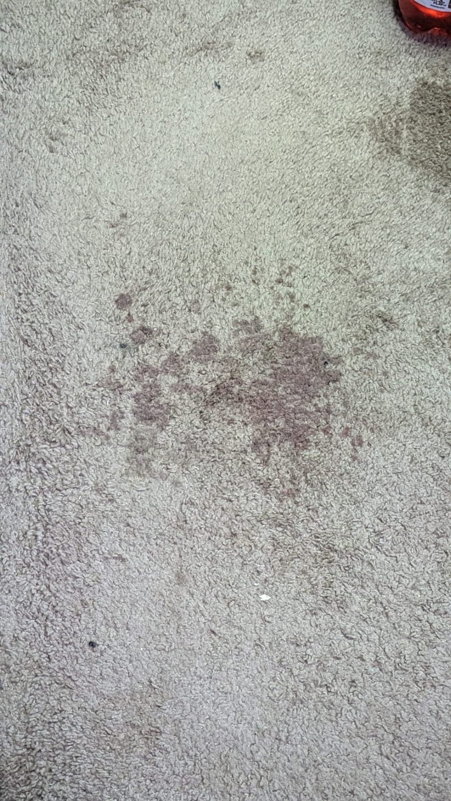 Bissell ProHeat 2X Revolution Pet Full Size Upright Carpet Cleaner, 1548F, Orange customer photo 2