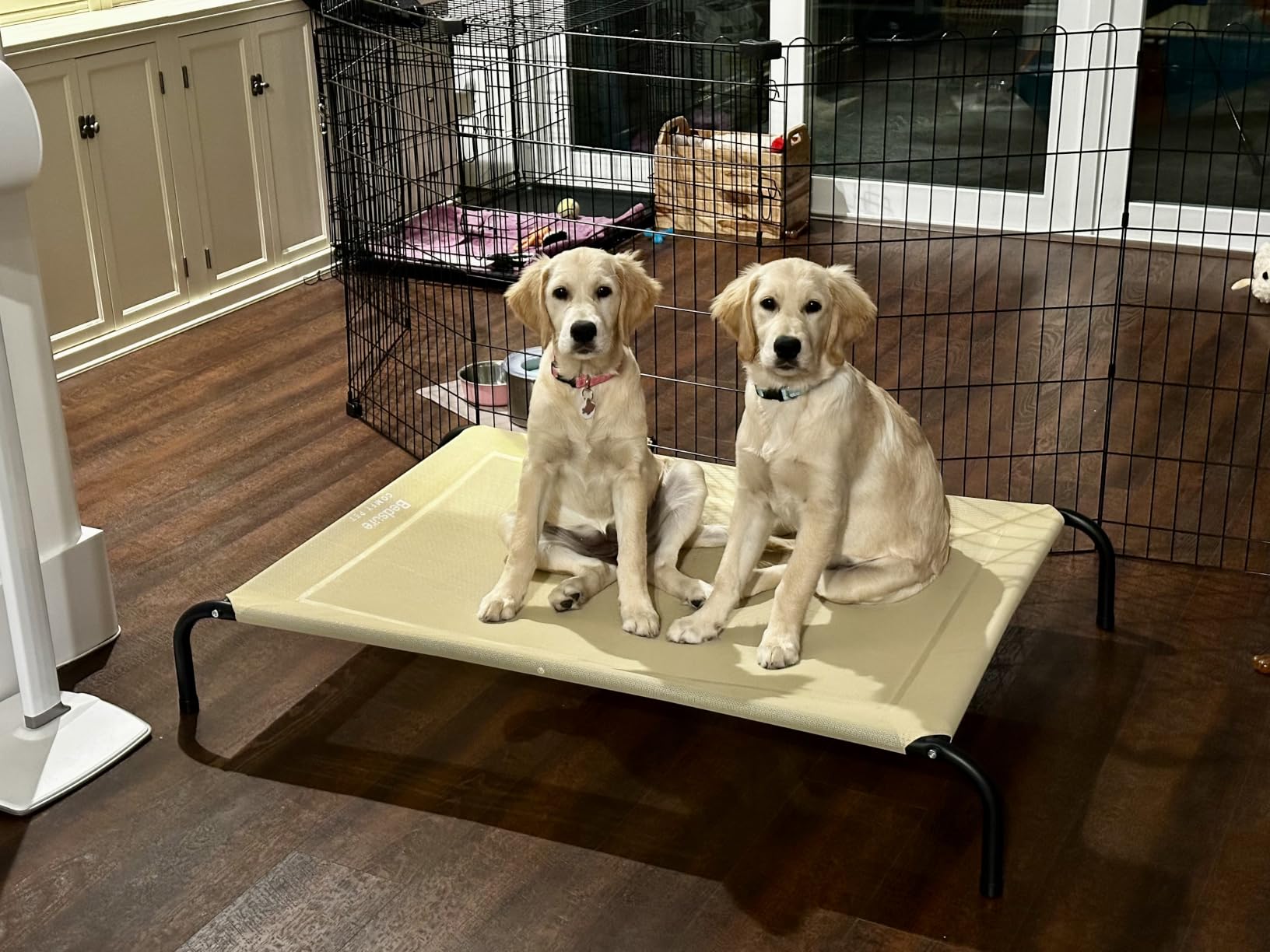 Bedsure Outdoor Elevated Cooling Dog Bed Large Sized Dog, 49in Grey | Portable Raised Camping Pet Cot Hammock, Breathable Teslin Mesh, Weather Resistant, For Large Pets Up to 85 lbs, Easy to Assemble customer photo 1