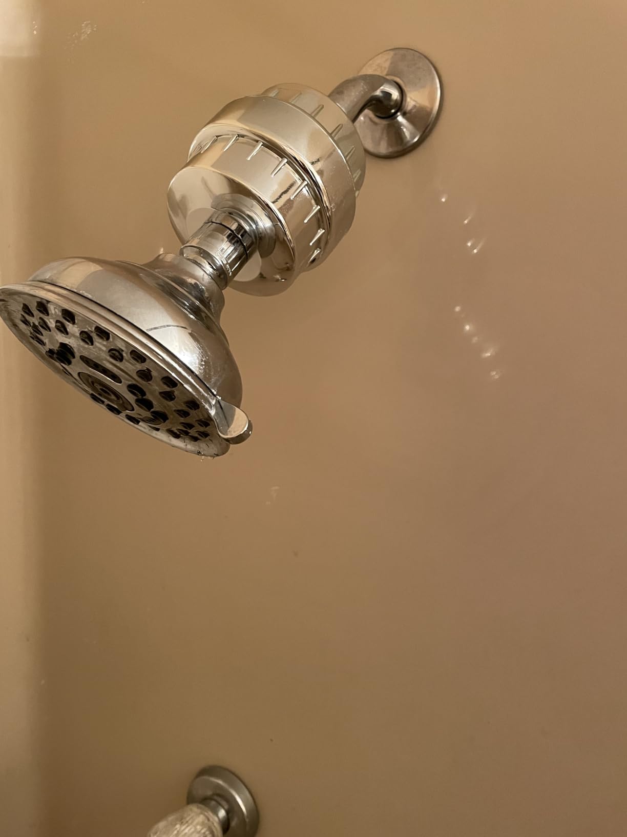 Aqua Earth Shower Filter for Hard Water, 20-Stage Vitamin C E Chlorine | Filter Helps reduce Fluoride, odors, sediment, rust, and impurities commonly found in shower water. customer photo 1