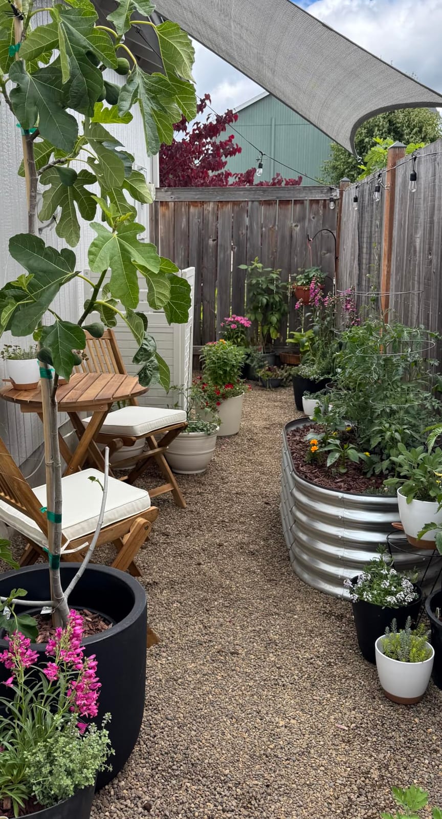 Rain Bird LNDDRIPKIT Drip Irrigation Kit customer photo 2