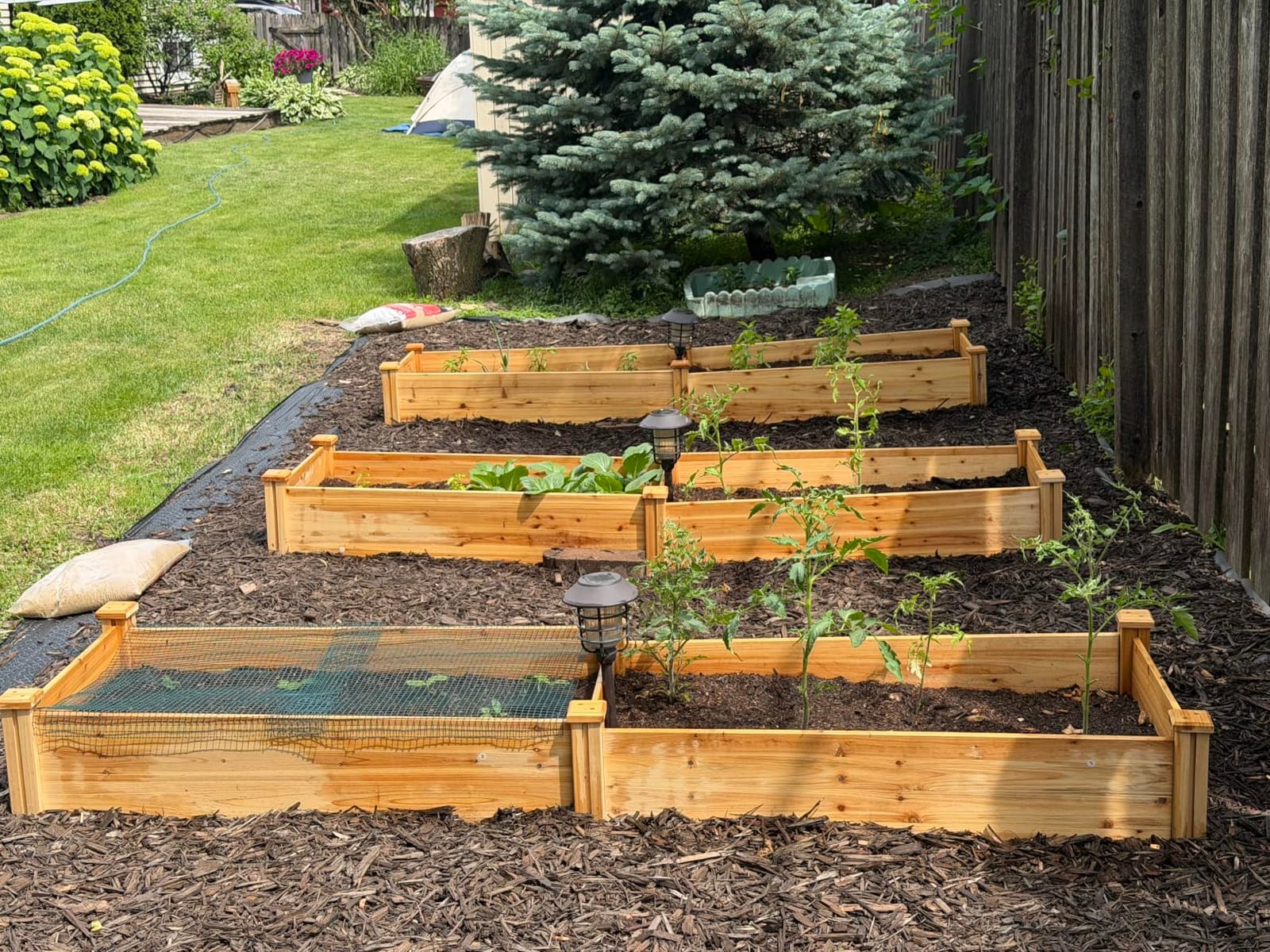 Yaheetech Raised Garden Bed Wooden Planter Box for Vegetables/Flowers, Wood customer photo 2