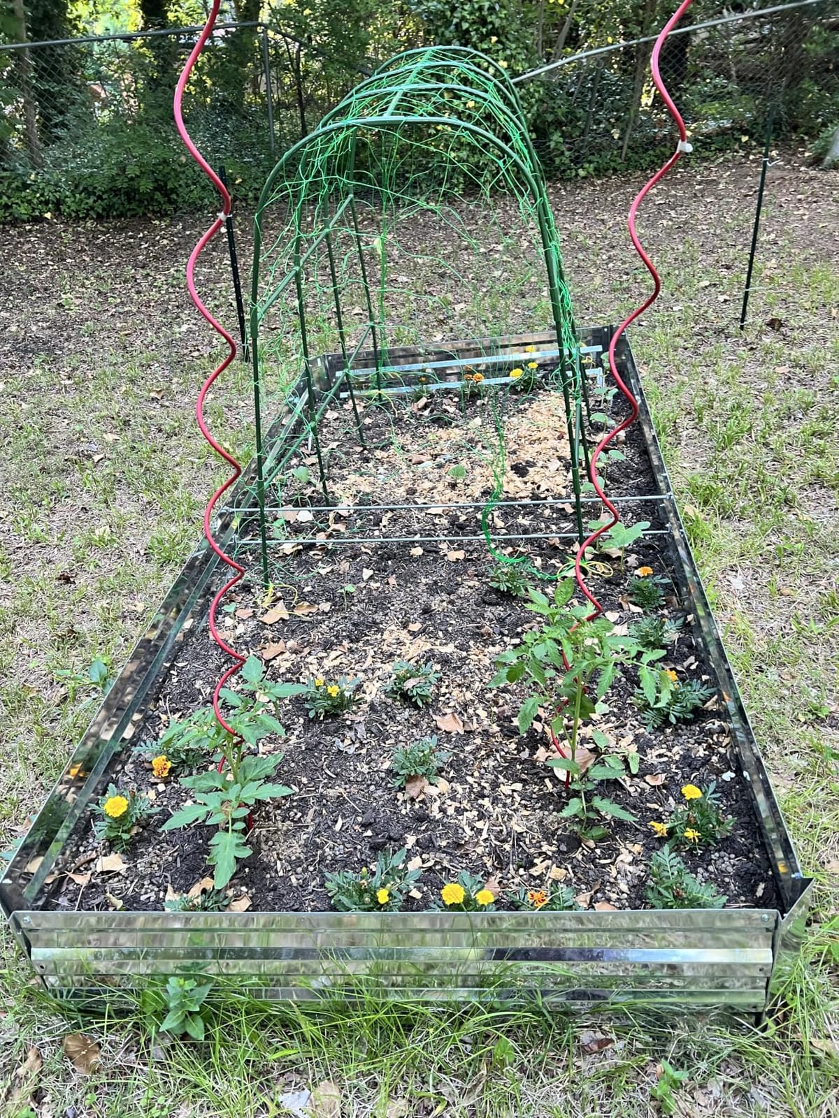 Galvanized Raised Garden Bed 8x4x1ft Single Unit | Above Ground Planter Overlap Panels No-Deform, Anti-Rust Heavy-Duty Metal Planting Beds for Herbs Flowers customer photo 2