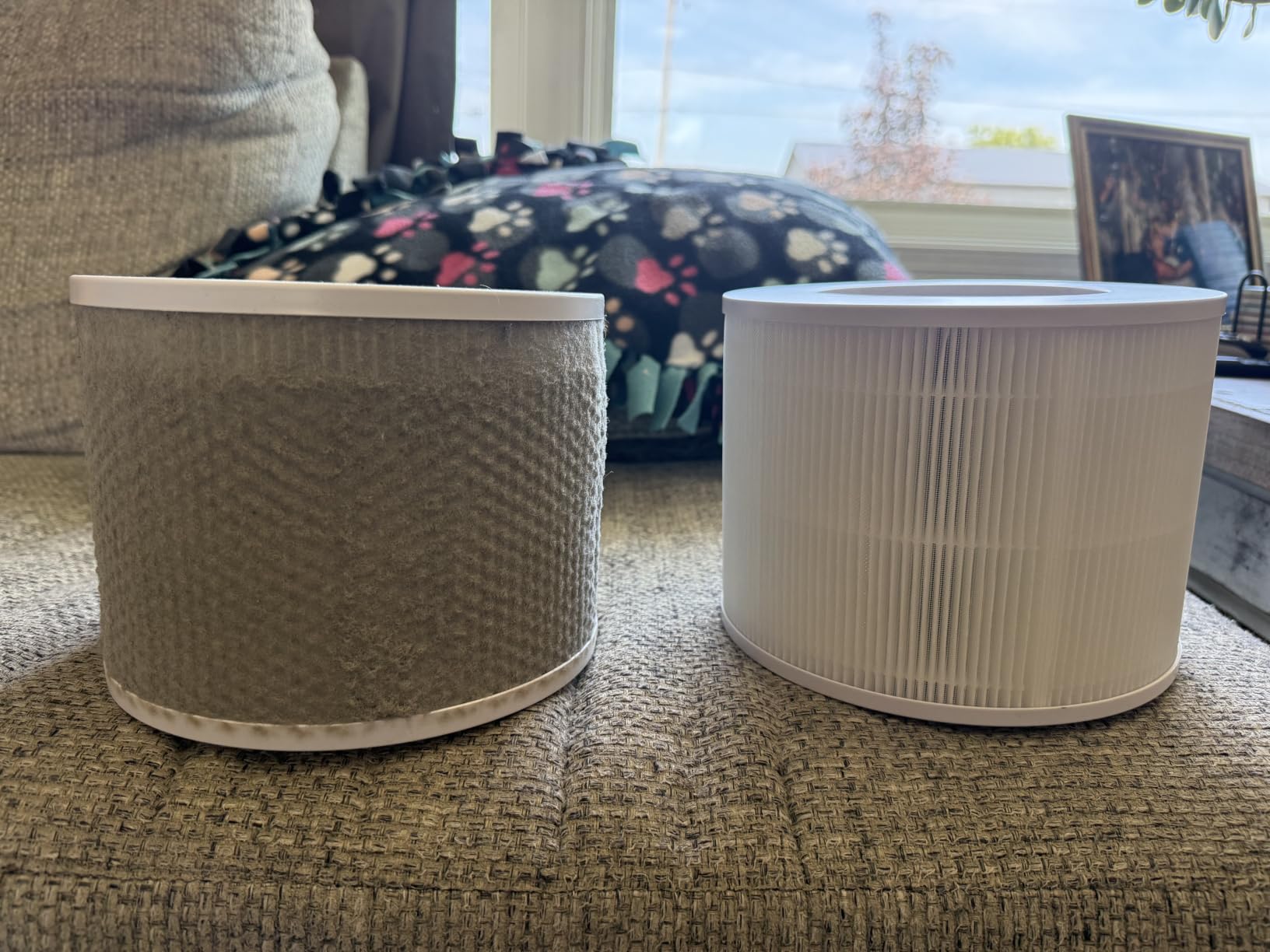LEVOIT Air Purifier for Home Allergies and Pets Hair Smokers in Bedroom, H13 True HEPA Filter, 24db Filtration System Cleaner Odor Eliminators, Remove 99.97% Dust Smoke Mold Pollen, Core 300, White customer photo 1