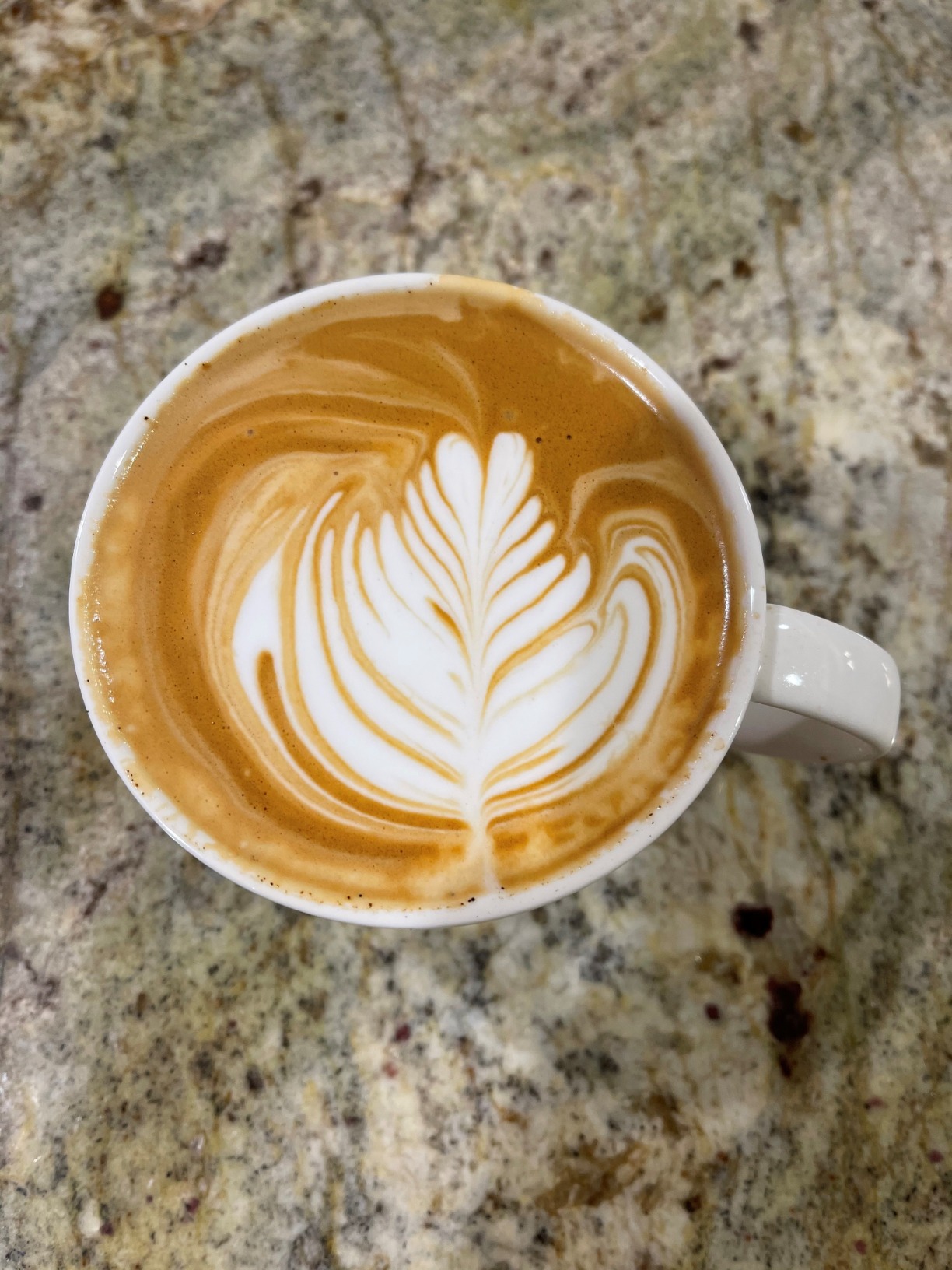 Breville Barista Pro Espresso Machine BES878BSS, Brushed Stainless Steel customer photo 1