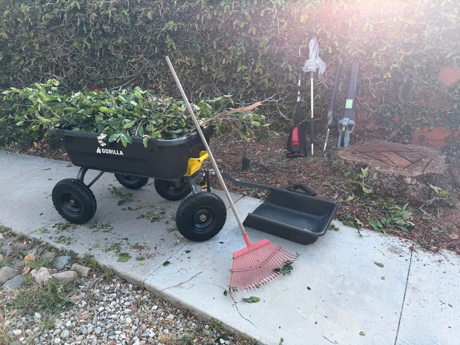 Gorilla Carts Dump Garden Cart, 4 Cu Ft, 600 lb Capacity, No-Flat Tires customer photo 1