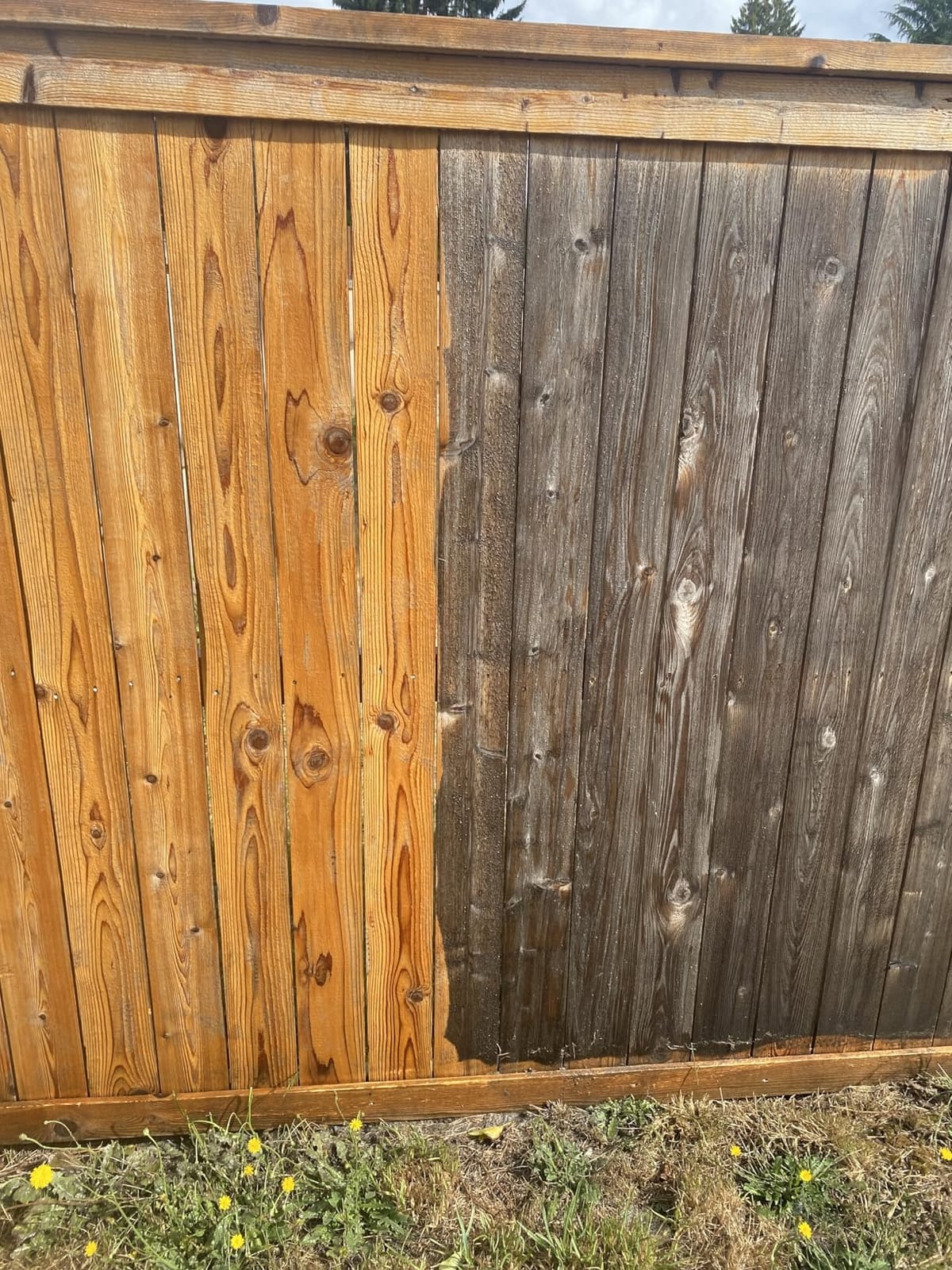 CRAFTSMAN Electric Pressure Washer, Cold Water, 1900 -PSI, 1.2-GPM, Corded (CMEPW1900) customer photo 2