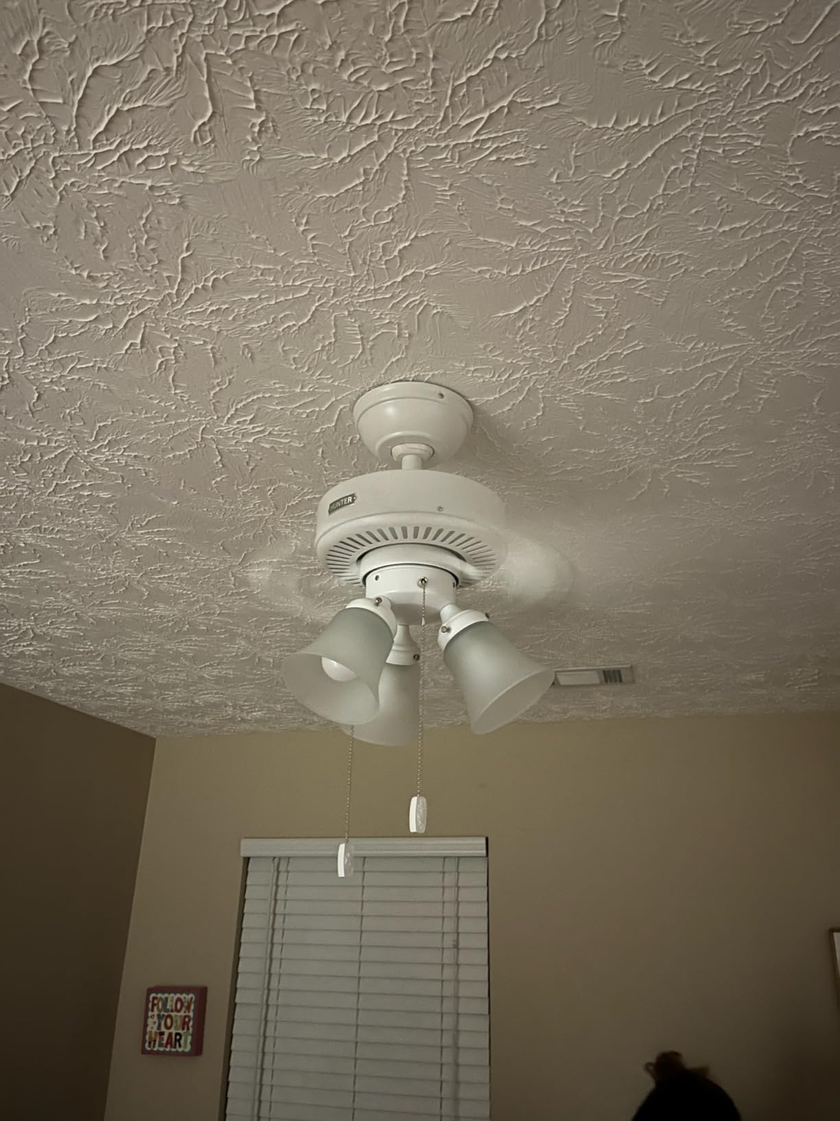 Hunter Swanson, Indoor, Ceiling Fan, with LED Lights, 44 inch, Fresh White | Standard Mount, Pull Chain, 5 Blades, For Bedroom, Living Room, Kitchen, 50885 customer photo 2