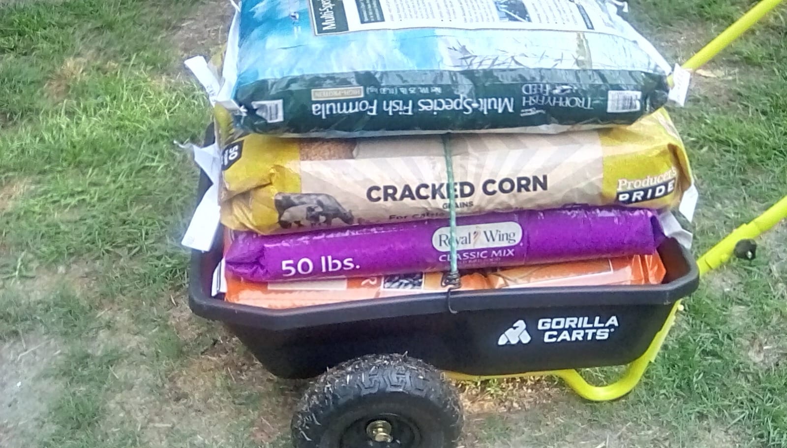 Gorilla Carts Poly Dump Cart, 2-Wheel Garden Wagon, 4 Cu Ft, 300lb Capacity customer photo 1