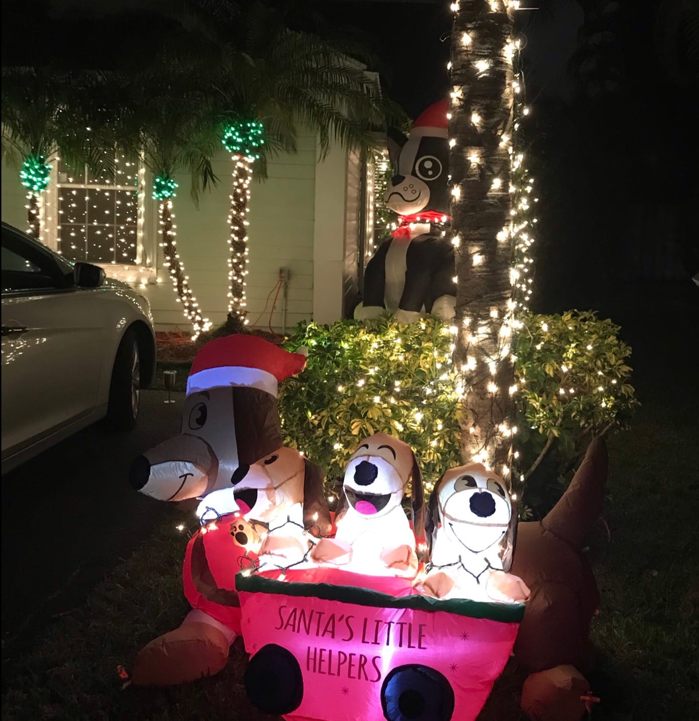 Joiedomi 5 FT Long Christmas Puppy Inflatable with Built-in LEDs, Self-Inflatable for Dachshund Blow Up Yard Decoration Xmas Party Indoor, Outdoor Yard Garden, Lawn Winter Decor customer photo 1