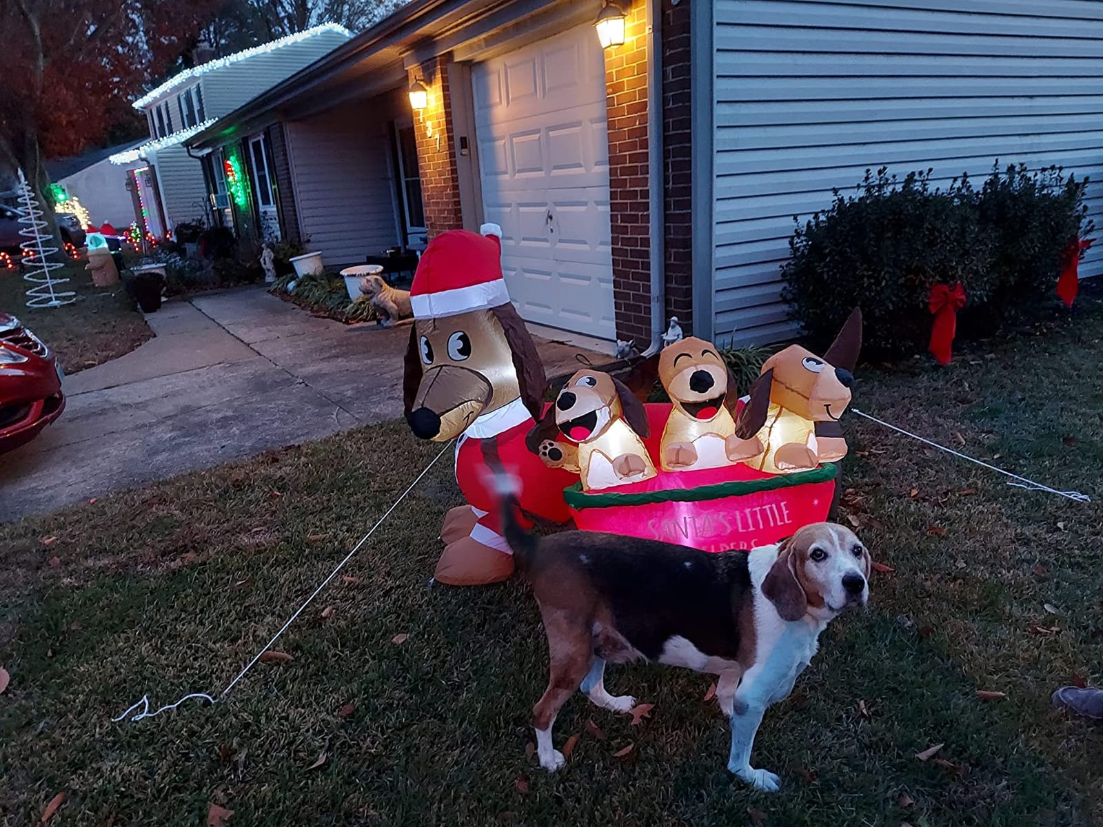 Joiedomi 5 FT Long Christmas Puppy Inflatable with Built-in LEDs, Self-Inflatable for Dachshund Blow Up Yard Decoration Xmas Party Indoor, Outdoor Yard Garden, Lawn Winter Decor customer photo 2