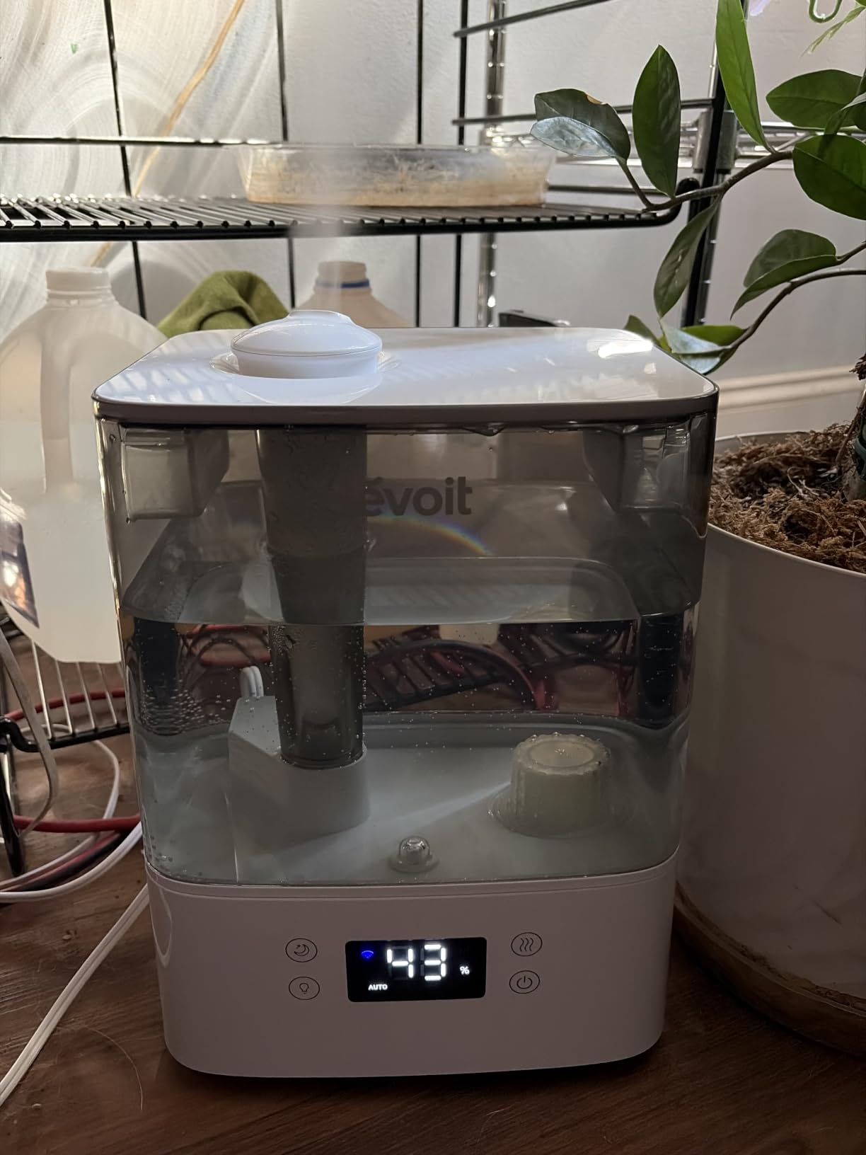 Levoit Humidifiers for Bedroom Large Room, 6L, 60H Runtime, 26dB, Smart App customer photo 2
