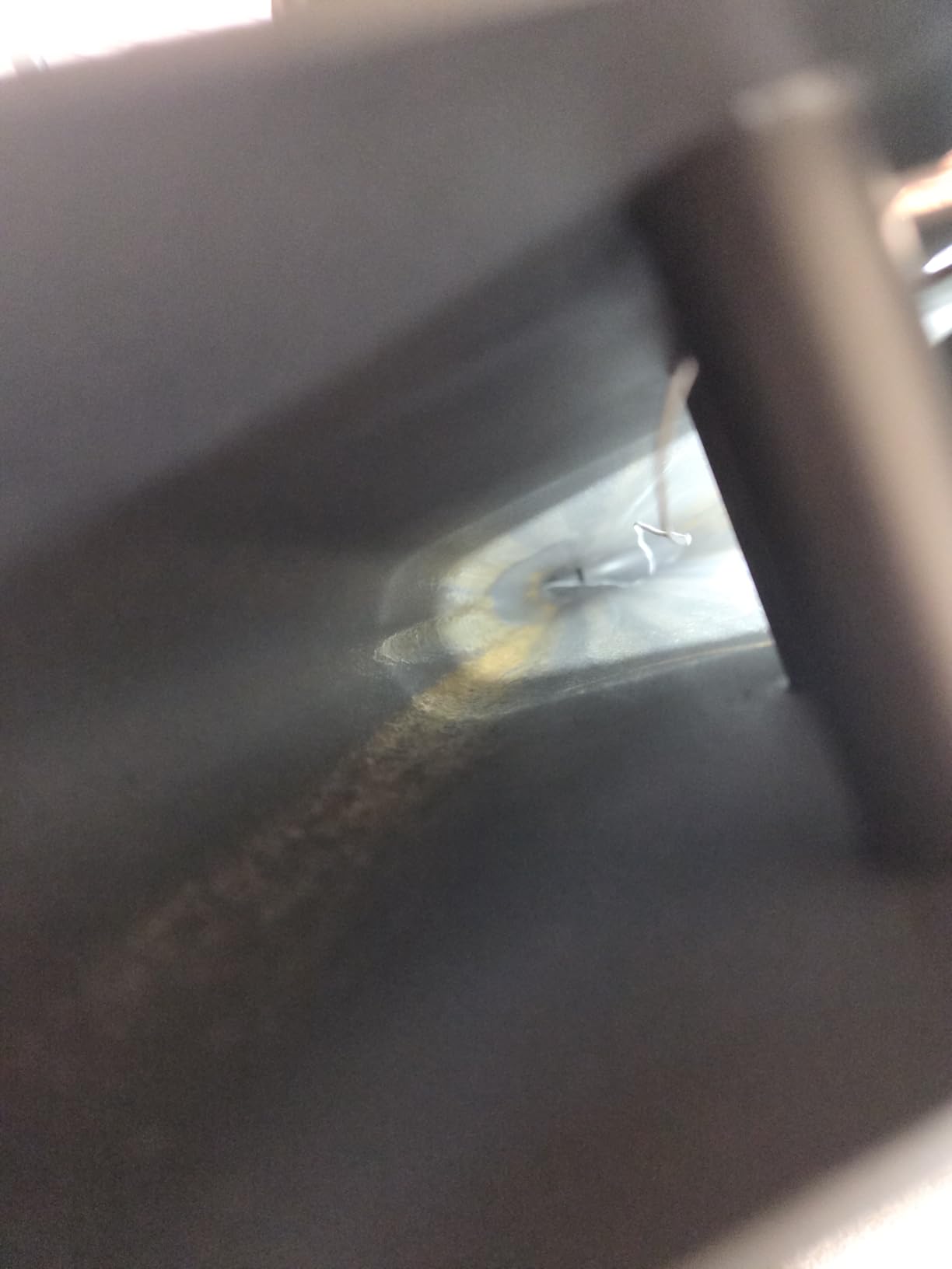 Horizon Fitness Treadmill customer photo 1
