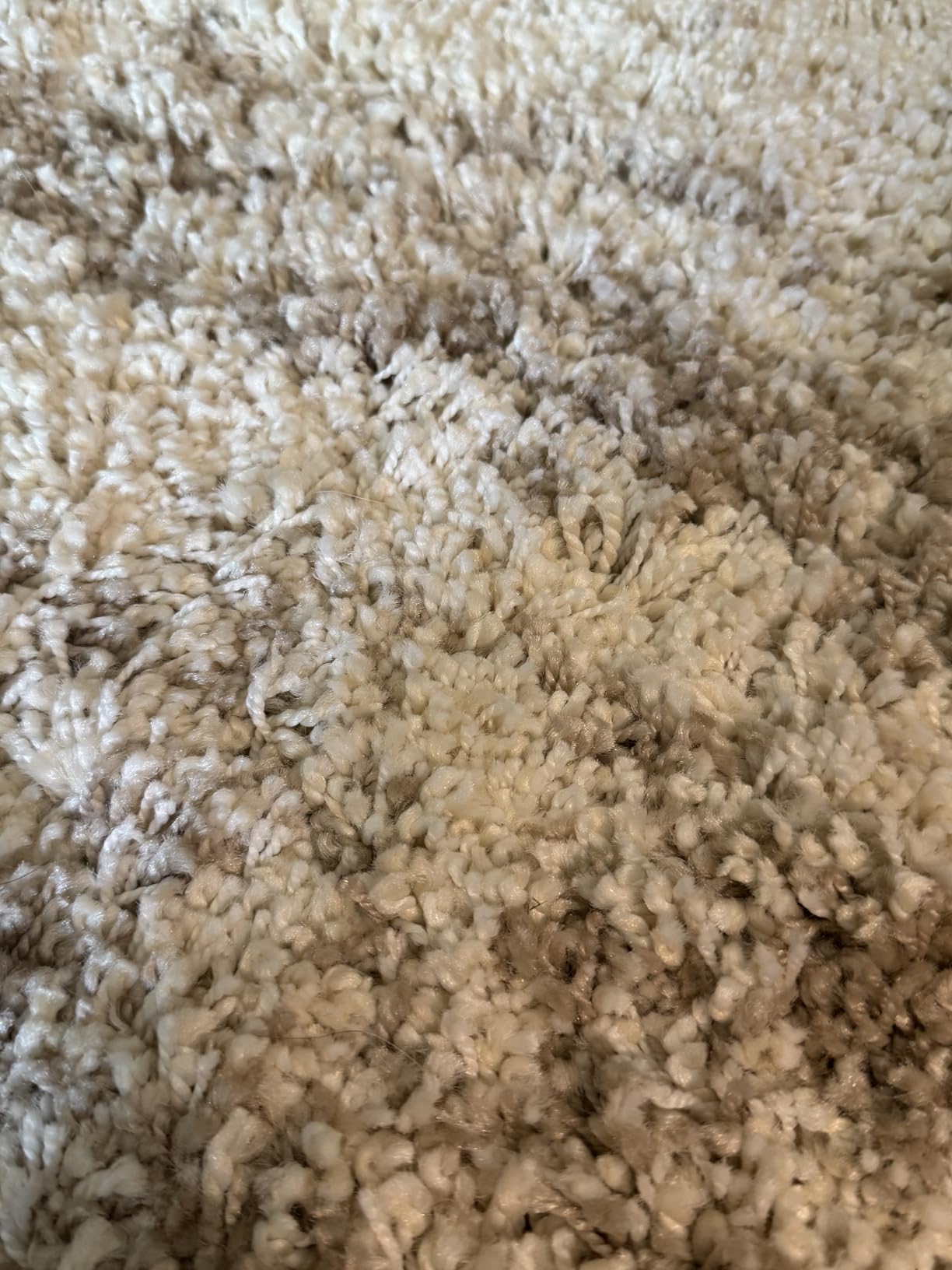 SAFAVIEH Hudson Shag Rug 9x12, Plush Modern Large Ivory & Beige SGH206B customer photo 1