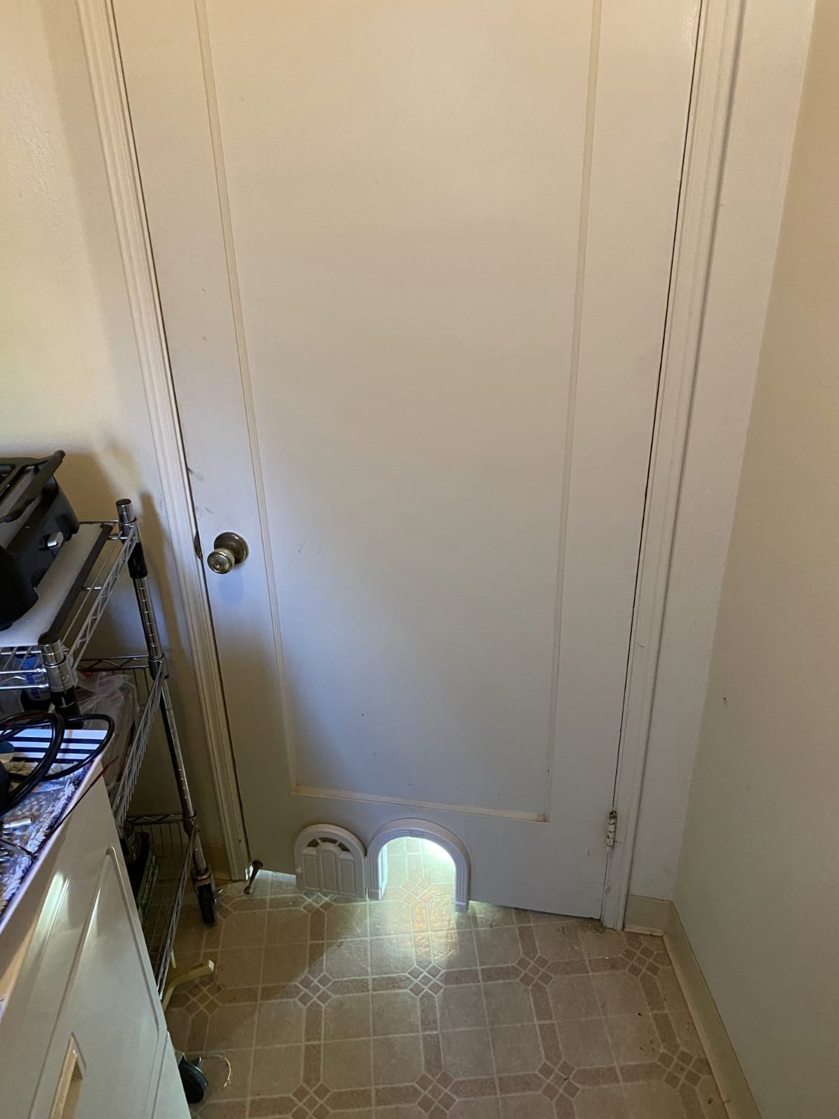 Purrfect Portal Meow Manor Cat Door Interior Door - No-Flap, Fits Cats Up to 20 lbs, Easy DIY Setup, No Training Needed customer photo 2