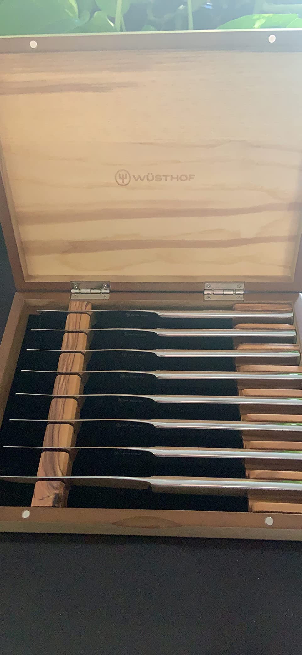WÜSTHOF 8-Piece Stainless Mignon Steak Knife Set, Silver customer photo 1