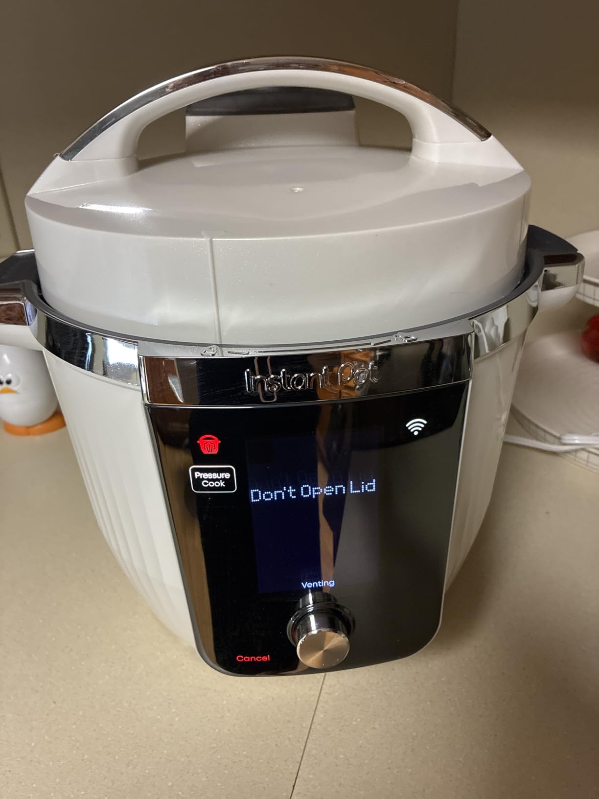 Instant Pot Pro Plus 10-in-1 Multi-Cooker, Electric Pressure Cooker, 6 Quart customer photo 2