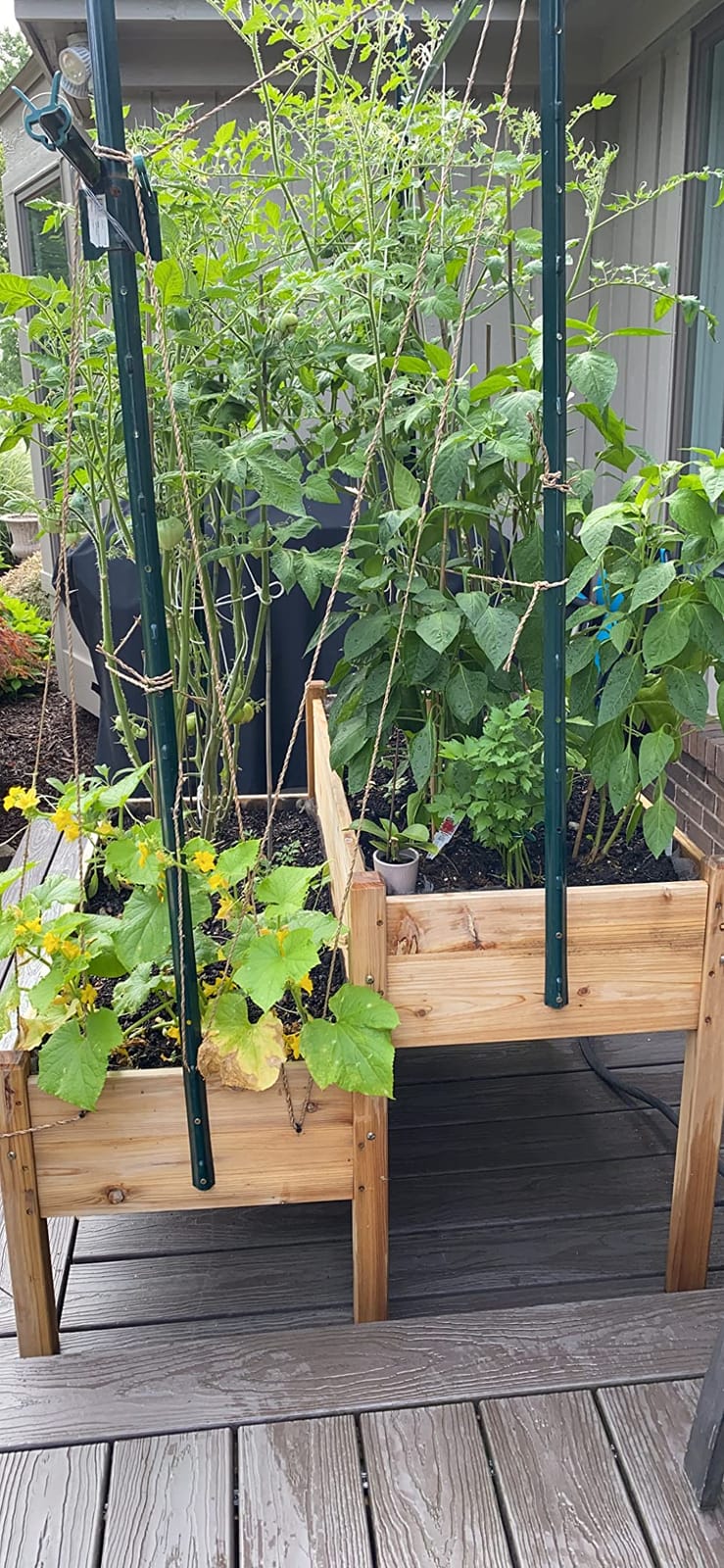 Yaheetech Raised Garden Bed Wood Tiered Planter Outdoor with Legs, 47 x 41 x 30 in Elevated Grow Box with 2 Levels and Drainage Holes for Herbs Vegetables Flowers and Backyard Patio Gardening customer photo 1