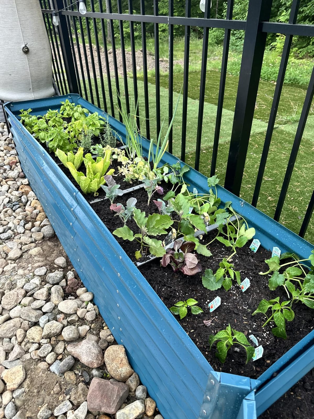 Best Choice Products 6x3x2ft Outdoor Metal Raised Garden Bed, Deep Root Box Planter for Vegetables, Flowers, Herbs, 269 Gallon Capacity, 100% Non Toxic Materials - Gray customer photo 1