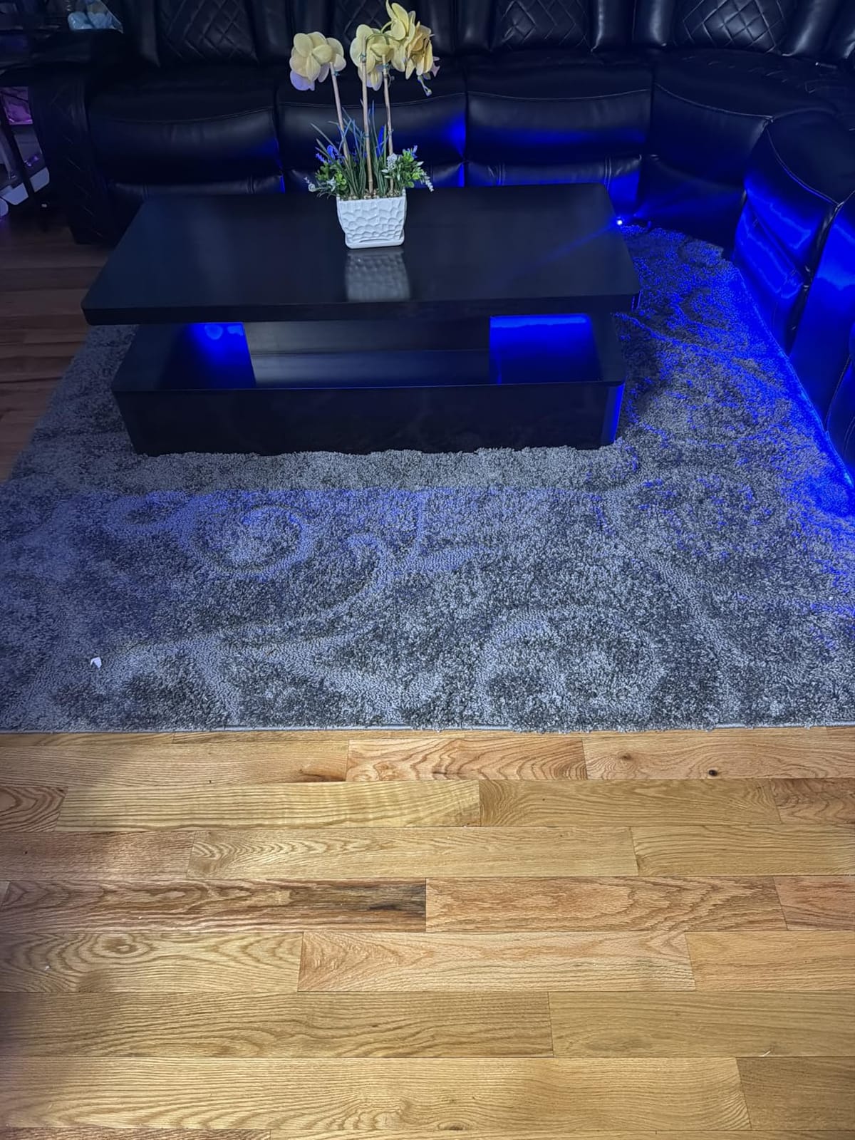 SAFAVIEH Florida Shag Collection Area Rug - 8' x 10', Ivory & Beige, Scroll Design, Non-Shedding & Easy to Clean, High-Low Plush Pile, Ideal for Living Room, Bedroom, Dining Space (SG455-13LT) customer photo 1