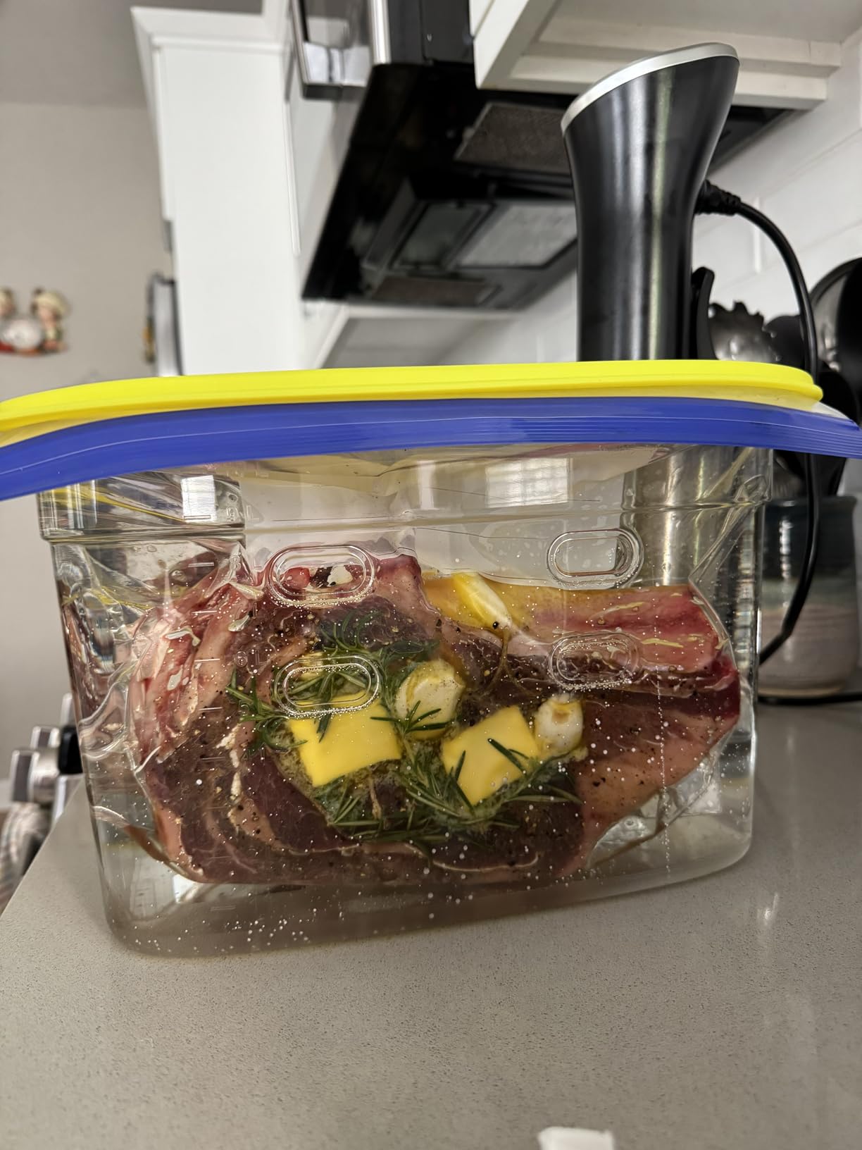 Wancle Sous Vide Cooker 1100W IPX7 Waterproof Thermal Immersion Circulator customer photo 2