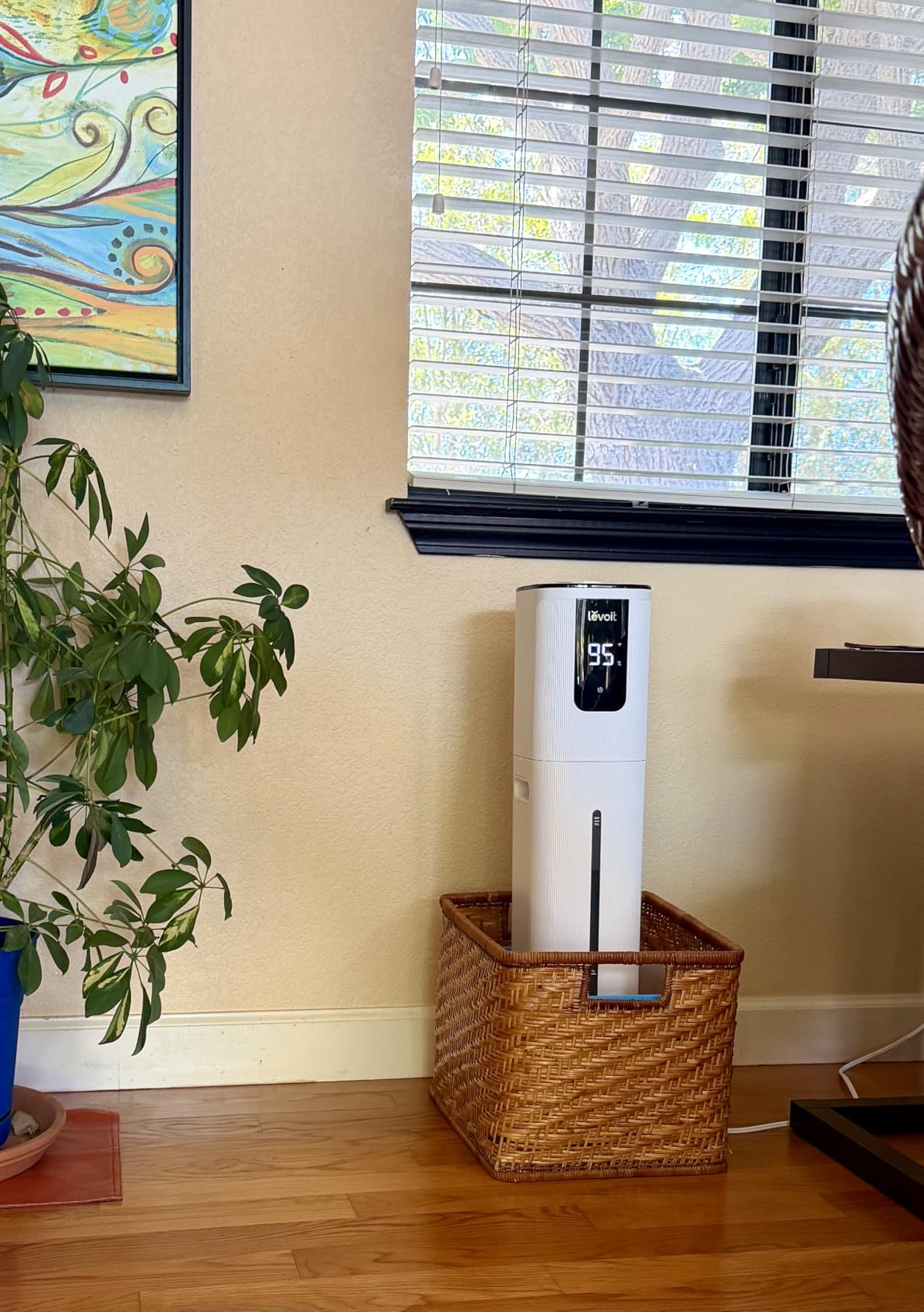Levoit LV600S Smart Warm&Cool Mist Humidifiers for Home Bedroom Large Room | 6L 753ft Coverage, Quickly & Evenly Humidify Whole House, Easy Top Fill, Smart Sensor, App & Voice Control, Quiet Sleep Mode customer photo 2