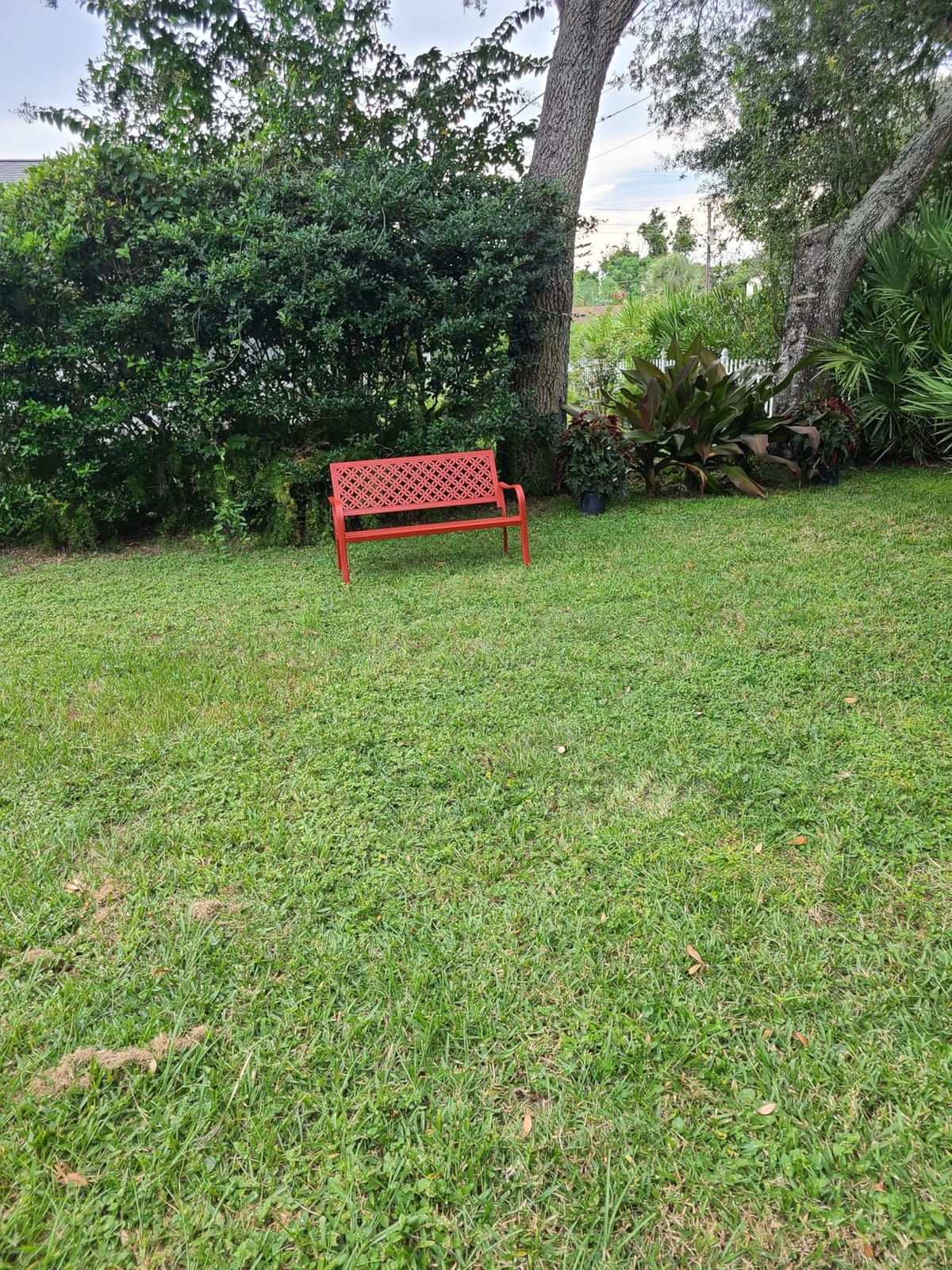 Grand patio 52 Farmhouse Outdoor Bench, Garden Benches with Anti-Rust Aluminum Powder Coated Frame, Faux Wood Grain Finish Frame Patio Bench for Front Porch, Northwoods Brown customer photo 2
