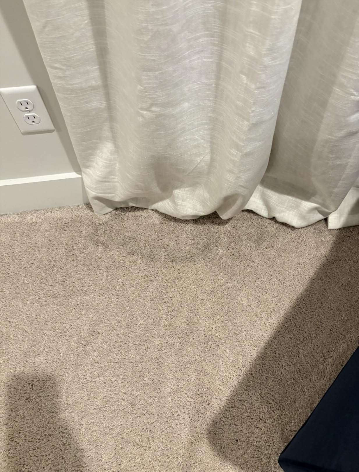 Hoover PowerDash Pet Compact Carpet Cleaner Machine, Lightweight Design | HeatForce Fast Drying, Antimicrobial Brush Roll customer photo 1