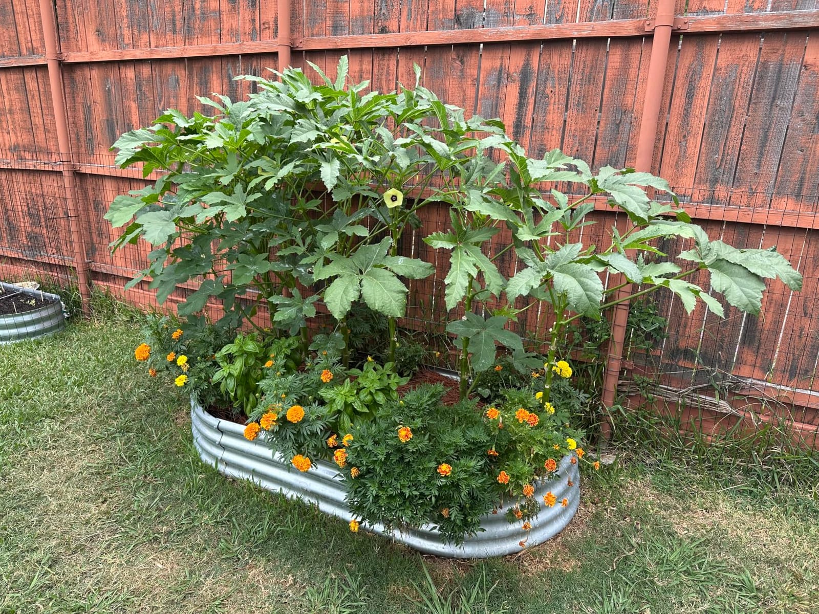 Land Guard Galvanized Raised Garden Bed Kit, Galvanized Planter Garden Boxes Outdoor, Oval Large Metal Raised Garden Beds for Vegetables customer photo 1