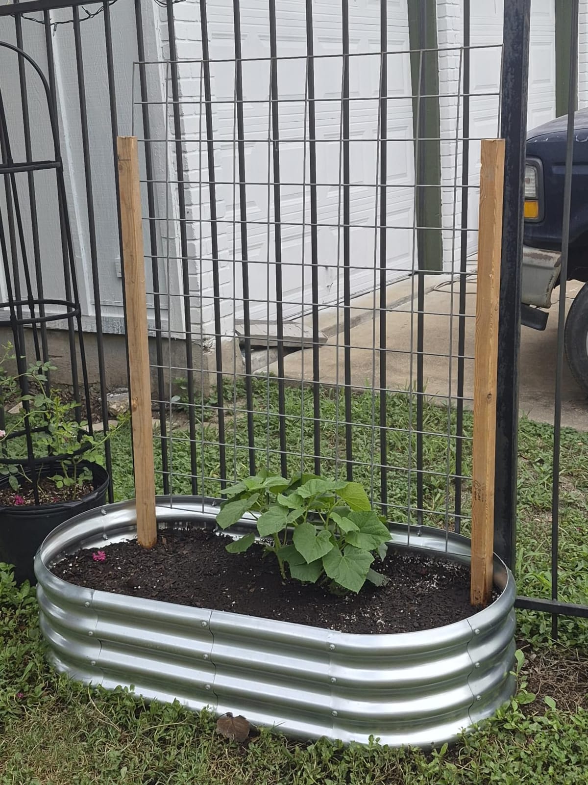 Land Guard Galvanized Raised Garden Bed Kit, Galvanized Planter Garden Boxes Outdoor, Oval Large Metal Raised Garden Beds for Vegetables customer photo 2