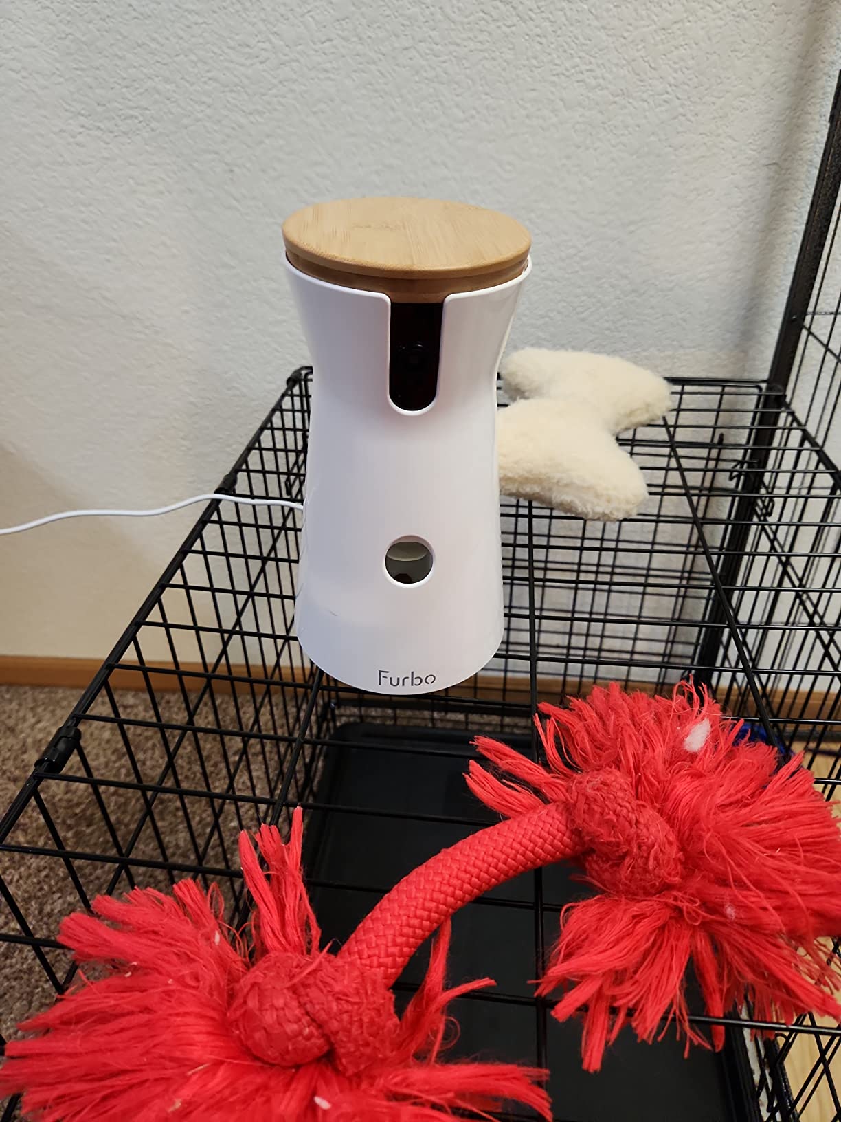 Furbo 360 Degree Dog Camera [No Monthly Fee] | 360 Degree Rotating Live View, Barking Alerts, Treat Toss, 2-Way Audio, Night Vision, Smart Home Puppy Monitoring, No AI Alerts customer photo 2