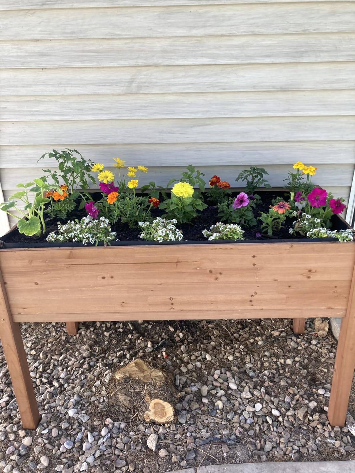 Raised Garden Bed with Legs, 48x24x30 Cedar Wood Elevated Planter Box | Large Growing Capacity, Premium Cedar Wood, Drainage Holes & Liner, Perfect for Outdoor Gardening, Ergonomic Gardening Height customer photo 1