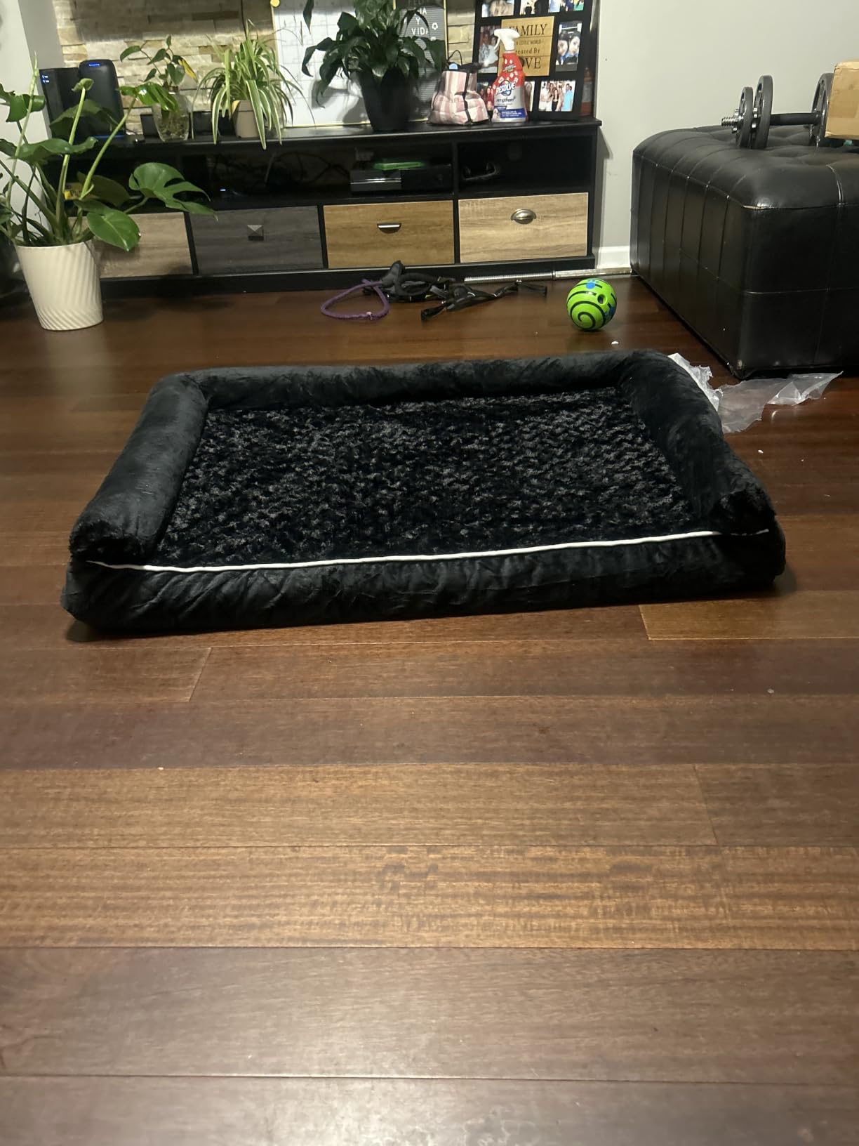 BFPETHOME Orthopedic Washable Large Dog Bed for Senior Dog Comfy Sleep | Waterproof Big Soft Pet Couch Bed for Dogs Relax with Removable Cover Supportive Egg Crate Foam Grey 36x27 Inch customer photo 1