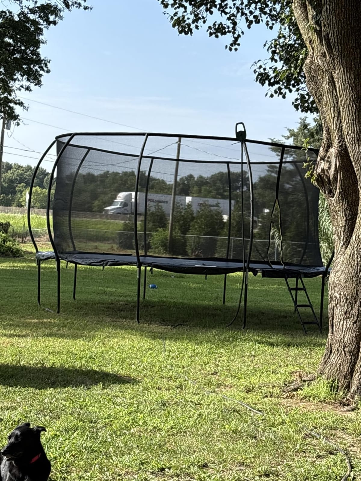 Jumpzylla Outdoor Trampoline with Net for Kids 8FT 10FT 12FT 14FT 15FT 16FT | ASTM-compliant trampoline with enclosure, non-slip ladder, rust-resistant galvanized steel frame, 8FT-16FT for kids & adults customer photo 1
