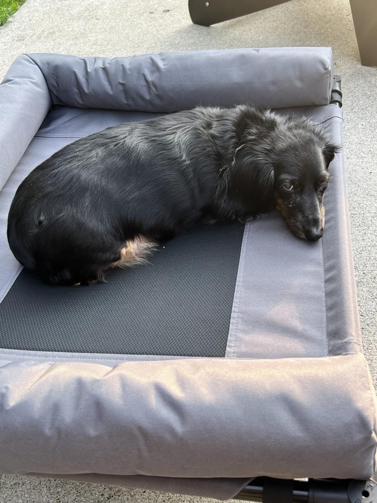 K&H Outdoor Elevated Dog Bed, Bolster Pet Cot, Medium 32x25in, Charcoal | Pet Cot for Medium & Large Pets, Washable Mesh Center Hammock with Removable Washable Bolsters, Indoor / Outdoor Dog Bed customer photo 1