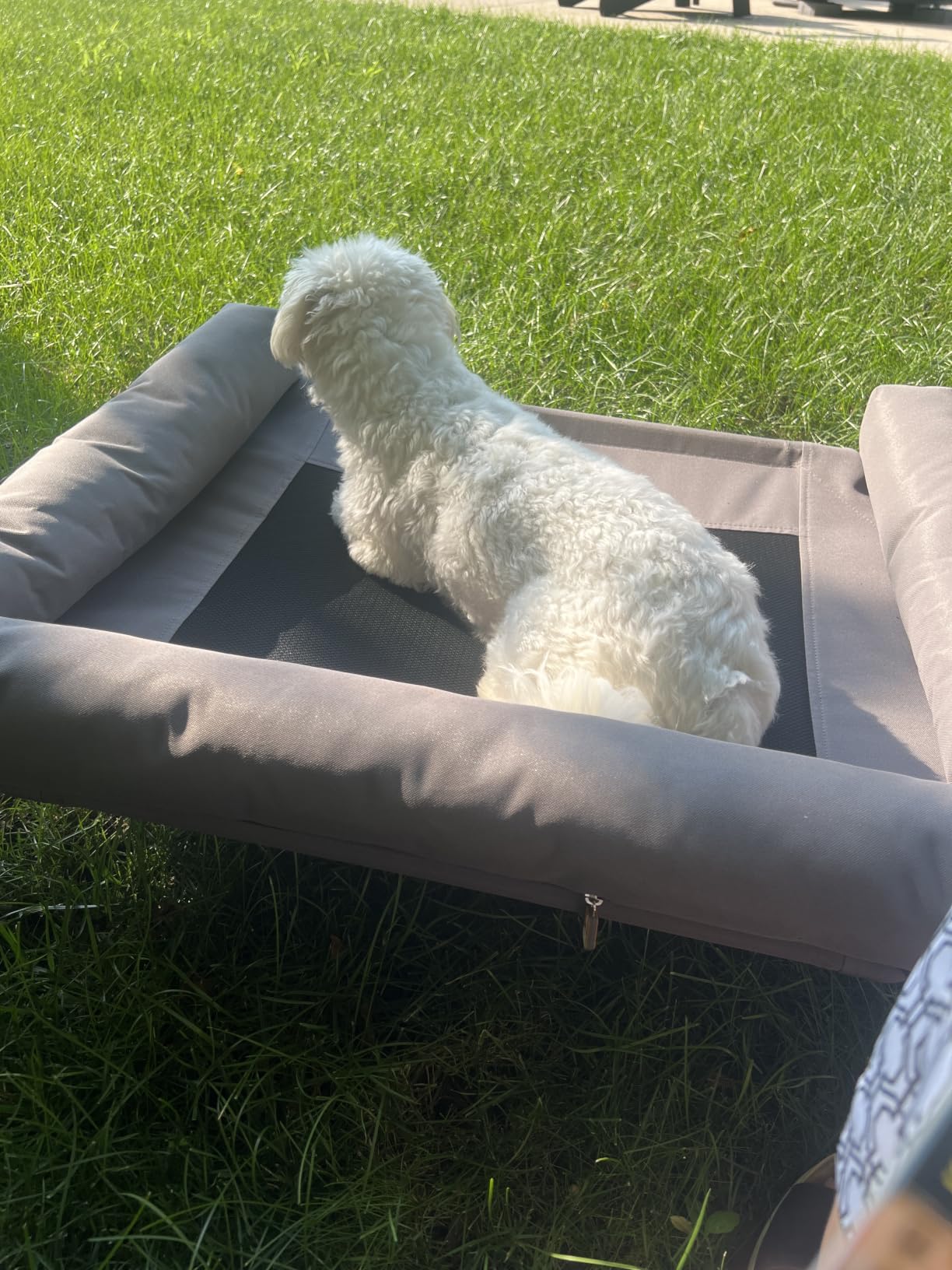 K&H Outdoor Elevated Dog Bed, Bolster Pet Cot, Medium 32x25in, Charcoal | Pet Cot for Medium & Large Pets, Washable Mesh Center Hammock with Removable Washable Bolsters, Indoor / Outdoor Dog Bed customer photo 2