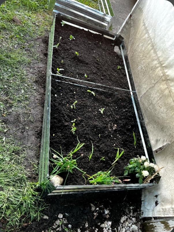 2-Pack Galvanized Raised Garden Bed 8x4x1ft | Above Ground Planter Overlap Panels No-Deform, Anti-Rust Heavy-Duty Metal Planting Beds for Herbs Flowers customer photo 1