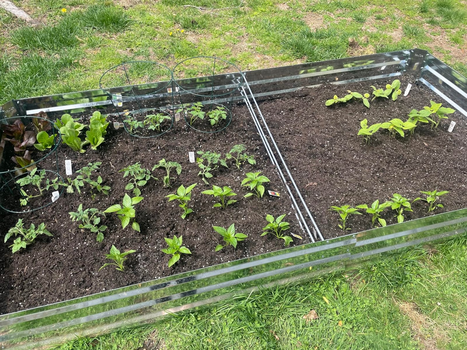 2-Pack Galvanized Raised Garden Bed 8x4x1ft | Above Ground Planter Overlap Panels No-Deform, Anti-Rust Heavy-Duty Metal Planting Beds for Herbs Flowers customer photo 2