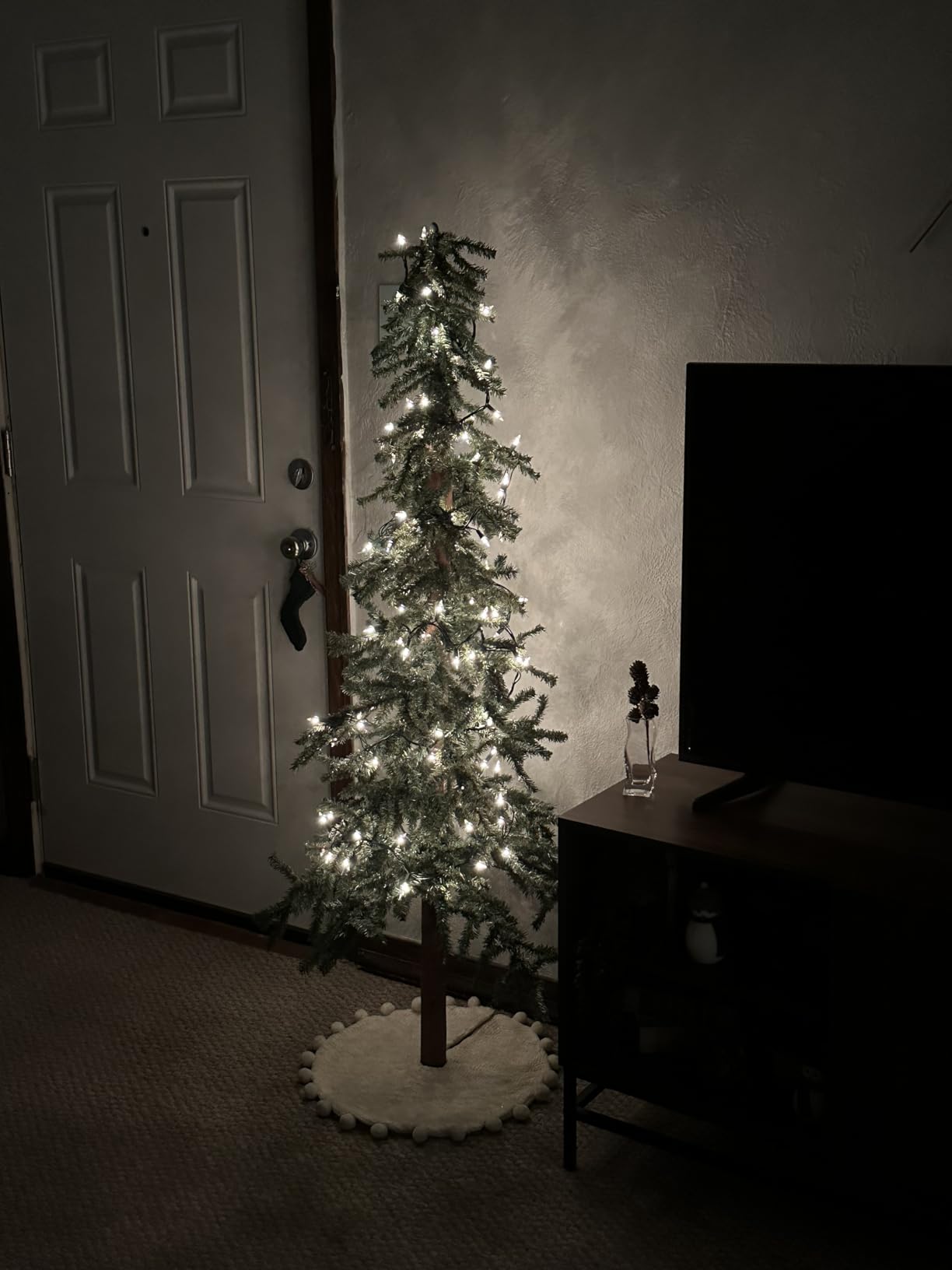 TW SHINE Warm White Christmas Lights Outdoor, 20FT 100 Count Incandescent Christmas Light Indoor, Waterproof Christmas Tree String Lights for Xmas Decorations customer photo 2