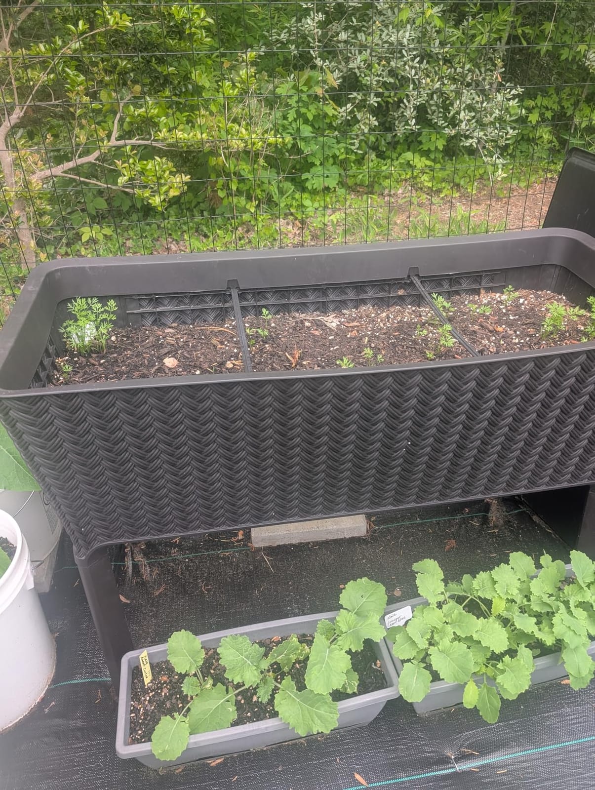 Splendor 31.7 Gallon Raised Garden Bed with Self Watering Planter Box and Drainage Plug customer photo 1