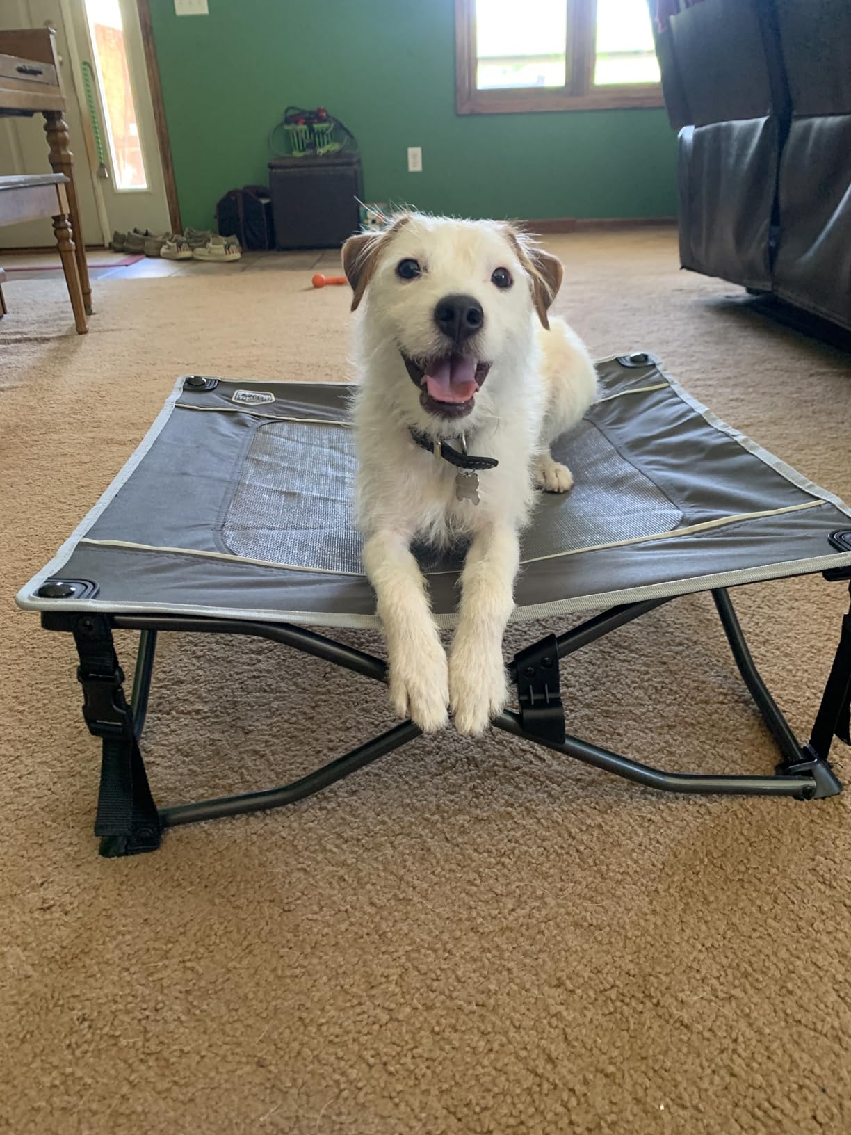 TIMBER RIDGE Outdoor Dog Bed, Cooling Elevated Pet Bed Portable Raised Dog Bed with Breathable Mesh, Dog Bed Foldable Dog Cot for Indoor & Outside, Grey customer photo 2