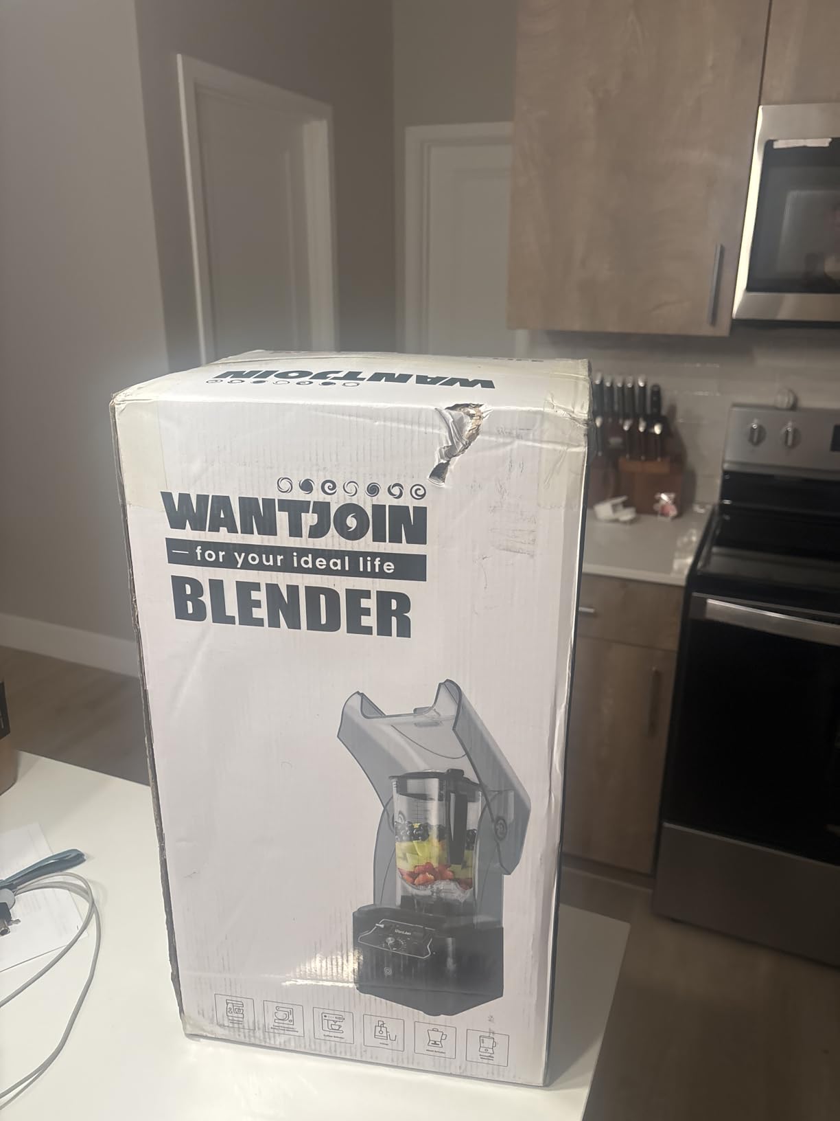 WantJoin Commercial Professional Blender With Shield Quiet Sound Enclosure 2200W Industries Strong and Quiet Professional-Grade Power, Self-Cleaning, White customer photo 1