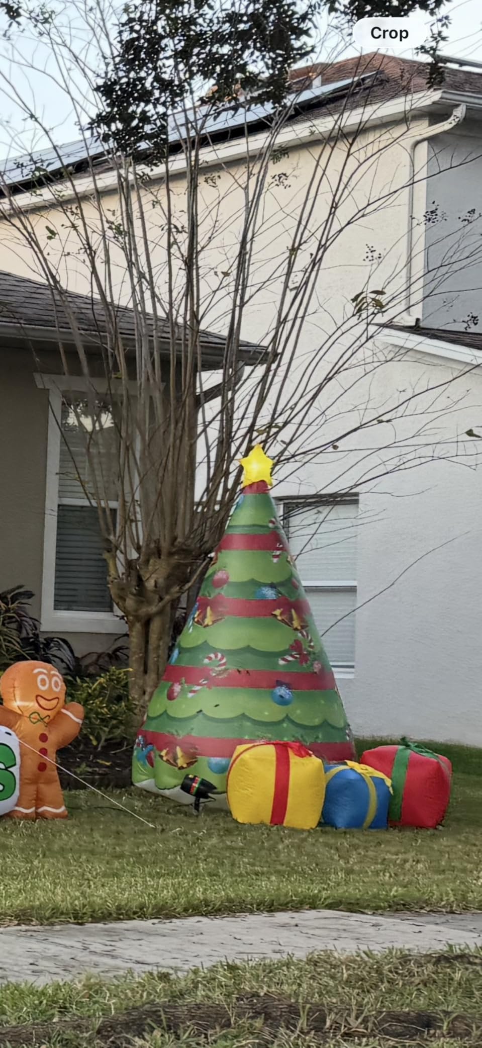 COMIN 7 FT Christmas Inflatables Tree Outdoor Decorations Blow Up Yard Present Box with Built-in LEDs for Indoor Party Garden Lawn Decor customer photo 2