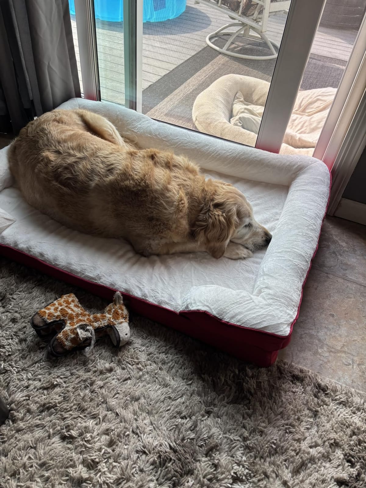 EHEYCIGA Orthopedic Extra Large Dog Bed, Waterproof Washable XL Pet Bed 44