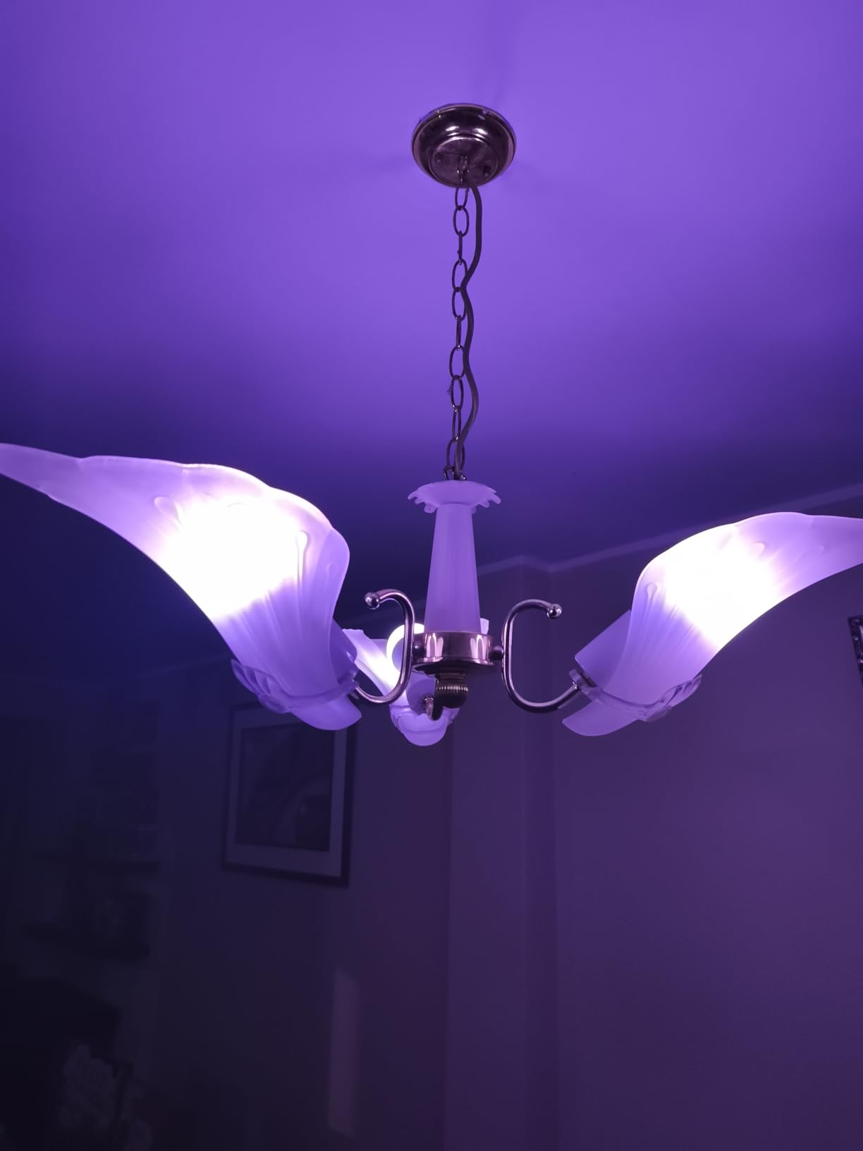 Linkind Matter Smart Light Bulbs, Work with Apple Home, Alexa, Siri, Google | Matter-enabled Direct Connect, LED Color Changing Light Bulbs, Mood Lighting, Music Sync, A19 E26 60W 800LM 2.4G WiFi, 6 Pack customer photo 2