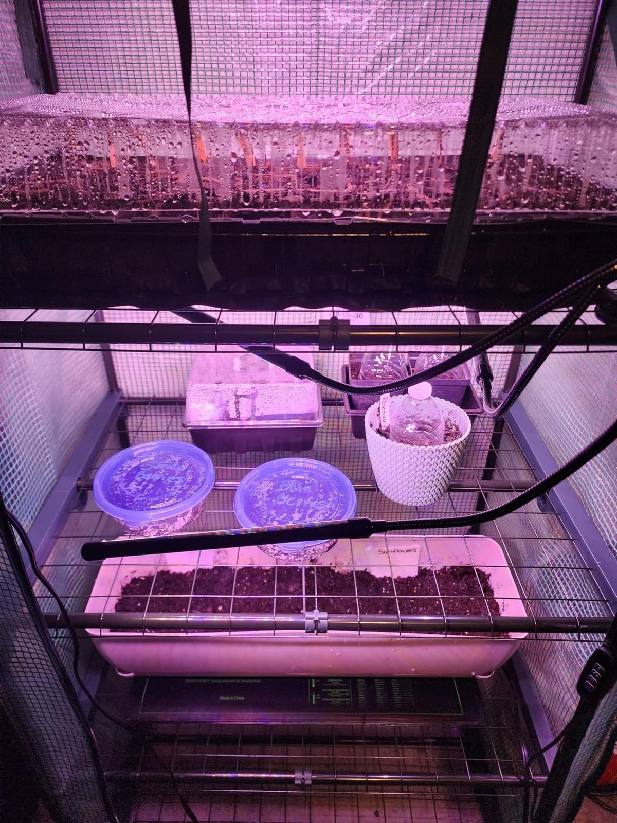 Mini Greenhouse for Outdoors Indoor: 27 x 19 x 62-Inch Ohuhu Small Green House with 4 Tier Shelves, Portable Plastic Greenhouses with Heavy Duty Transparent PVC Cover for Seedling Patio Porch Balcony customer photo 1