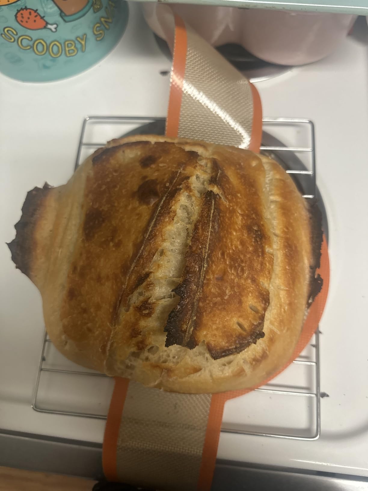 Saint Germain Bakery Premium Round Bread Banneton Basket with Liner - Perfect Brotform Proofing Basket for Making Beautiful Bread (9 inch) customer photo 1