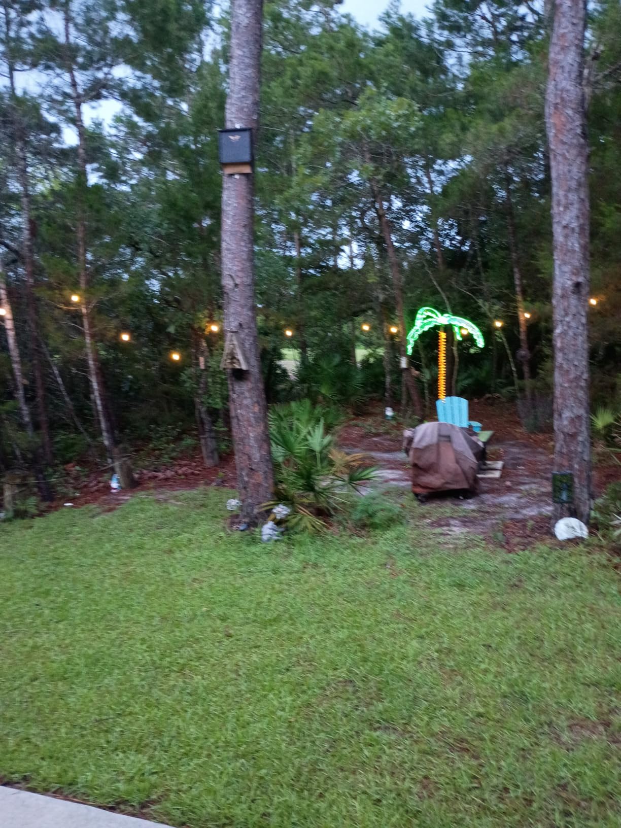 addlon LED Outdoor String Lights 96FT(48*2) Edison Vintage Weatherproof ETL | Commercial Grade Strand with Shatterproof Bulbs, Decorative Hanging Lights for Patio Backyard Garden Cafe Bistro Deck customer photo 2