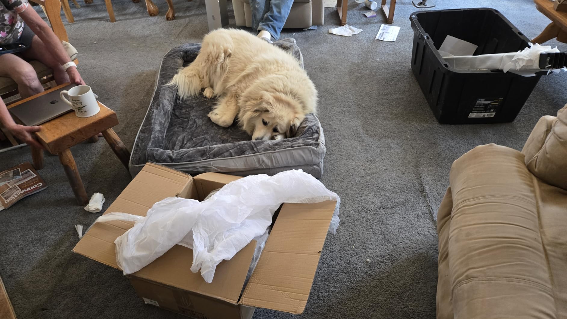 Bedsure Orthopedic Dog Beds Large Sized Dog with Removable Washable Cover | 38