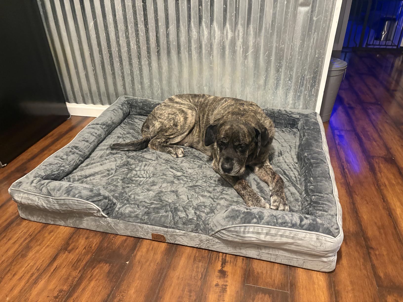 Bedsure Orthopedic Dog Beds Large Sized Dog with Removable Washable Cover | 38