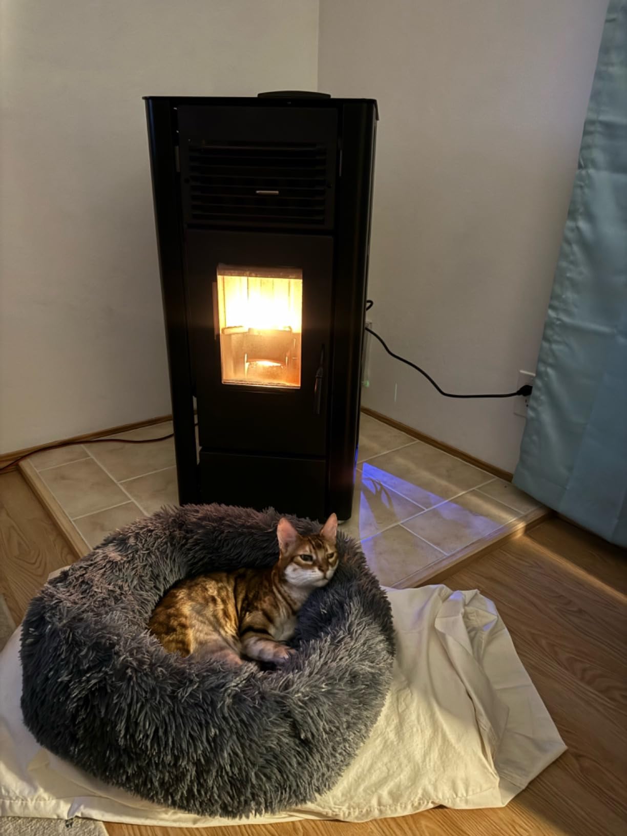 Freedom Stove PS21 Freestanding Pellet Stove, WiFi, 5-Yr Warranty customer photo 1